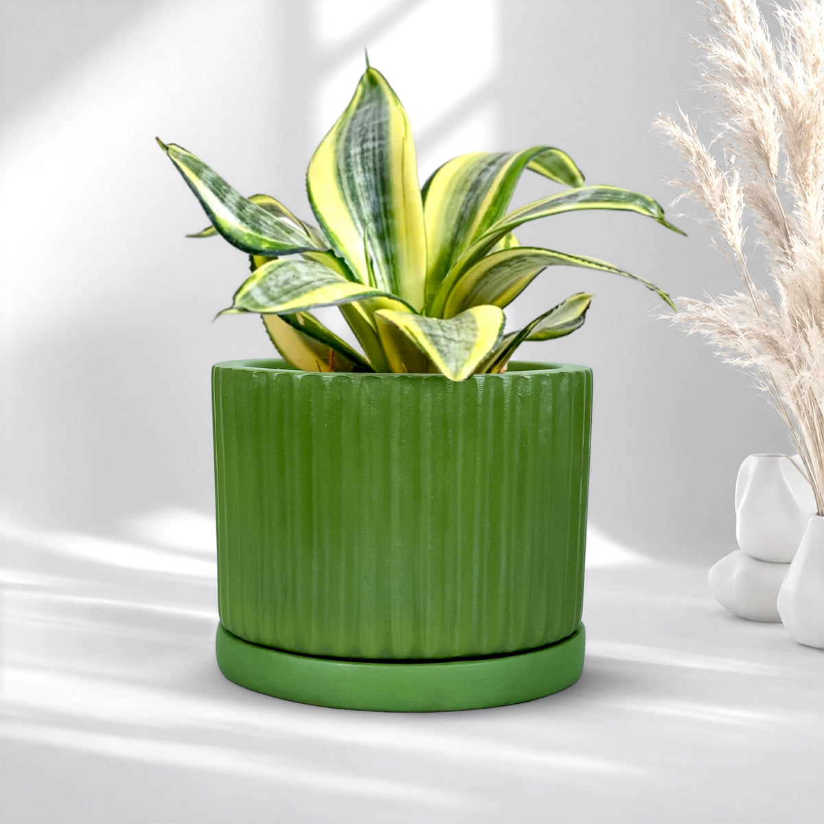 Fresh Breath Terracotta Pot with Saucer
