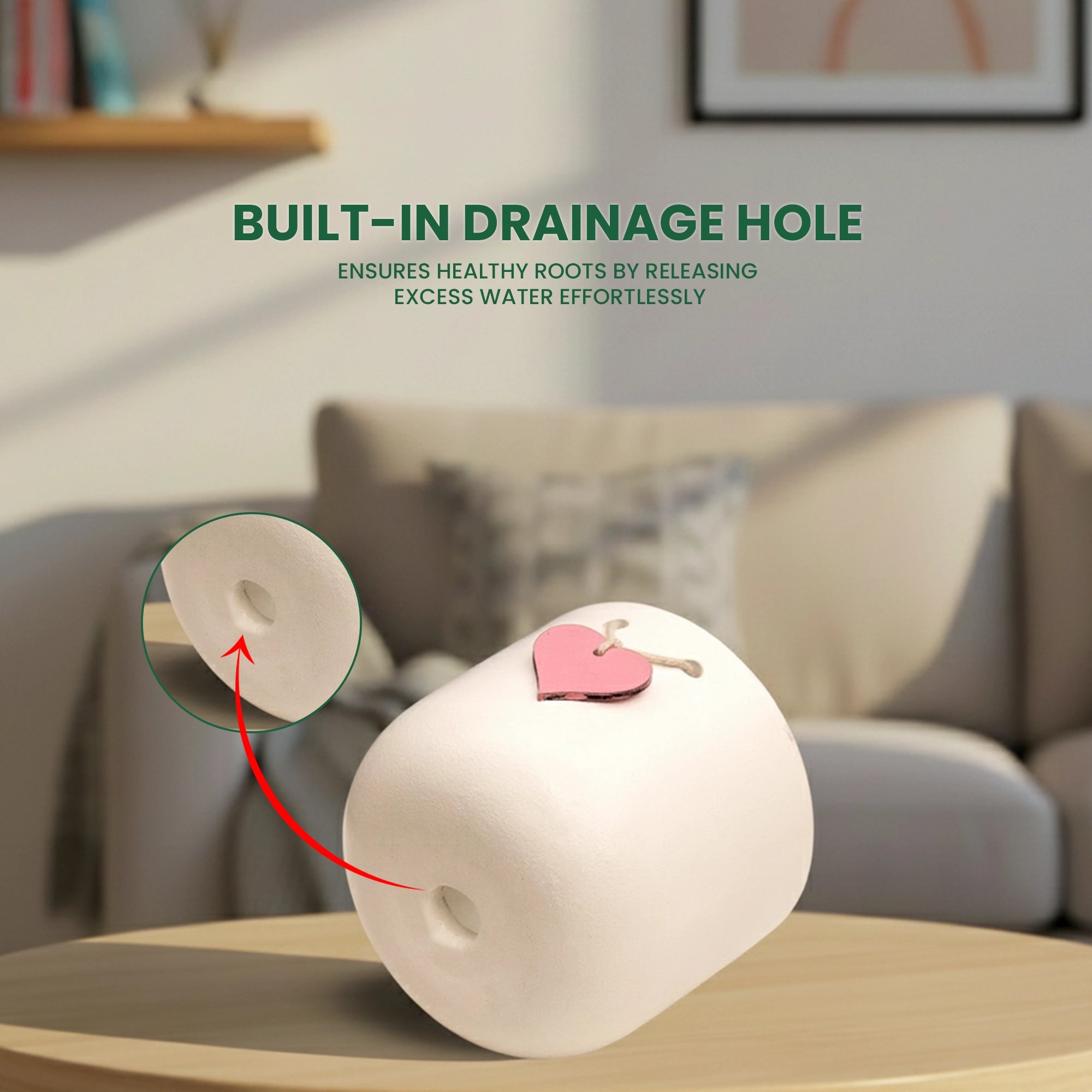 Terracotta pot with drainage hole for healthy plant growth