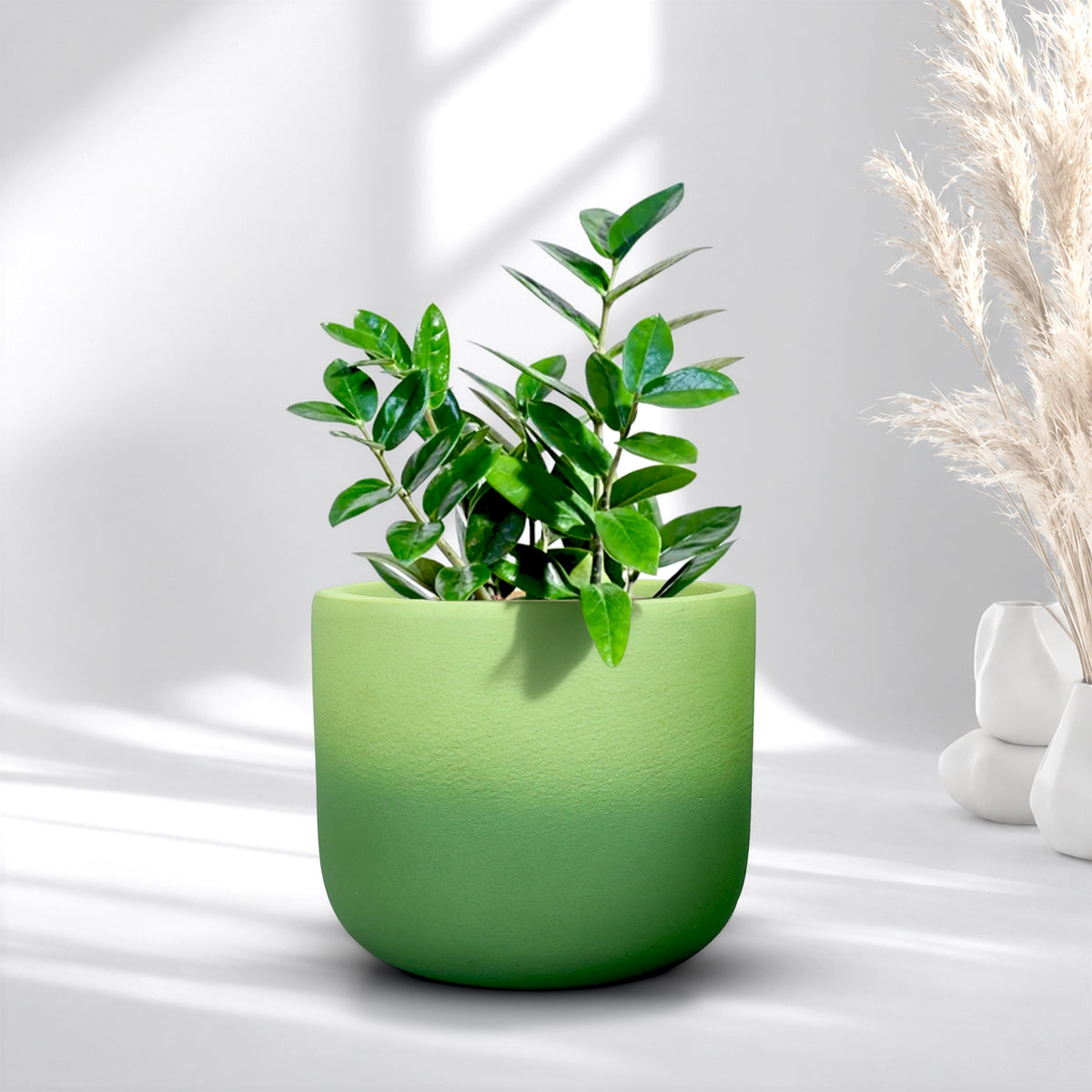 Gala Gradient Terracotta Pot