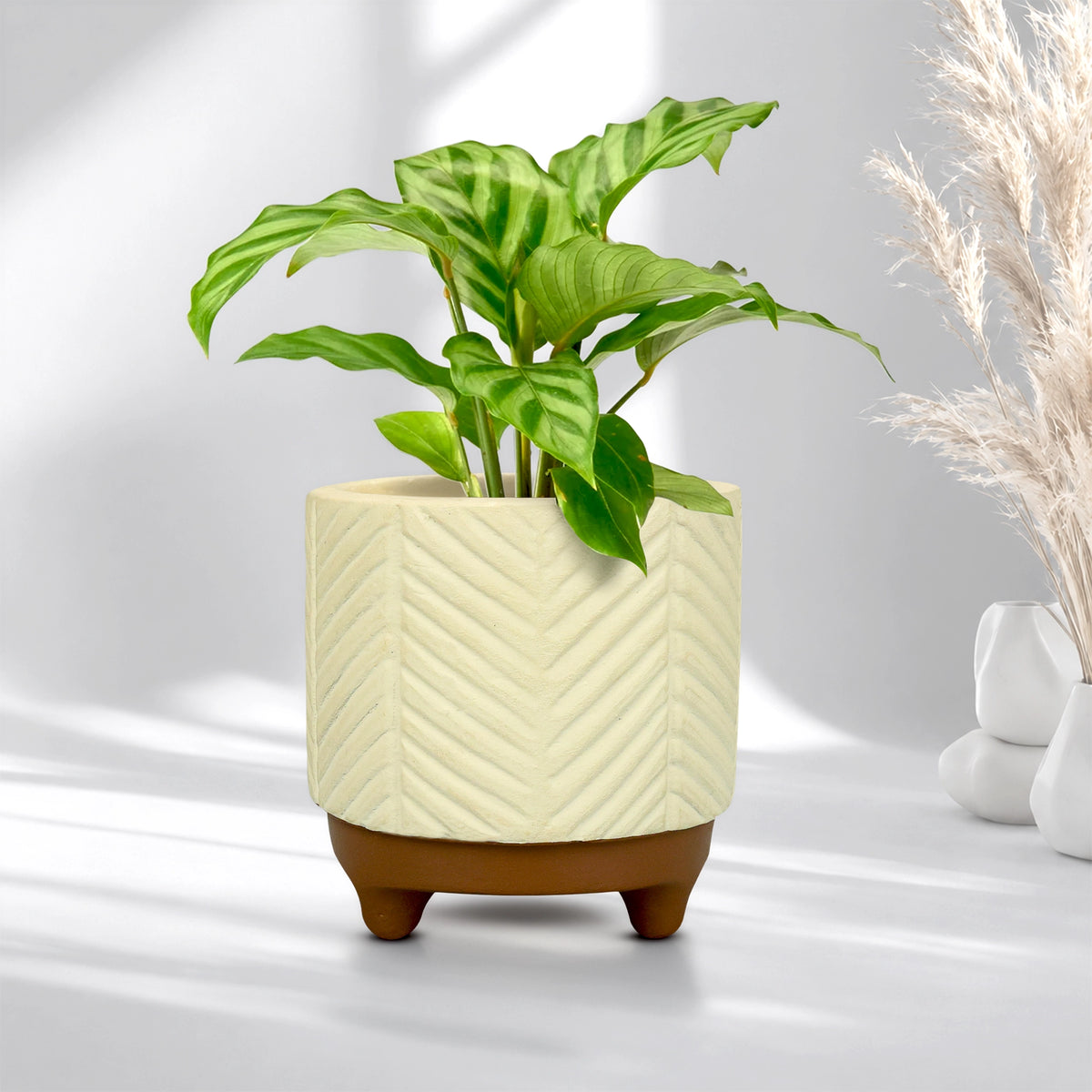 Emerald Terracotta Pot