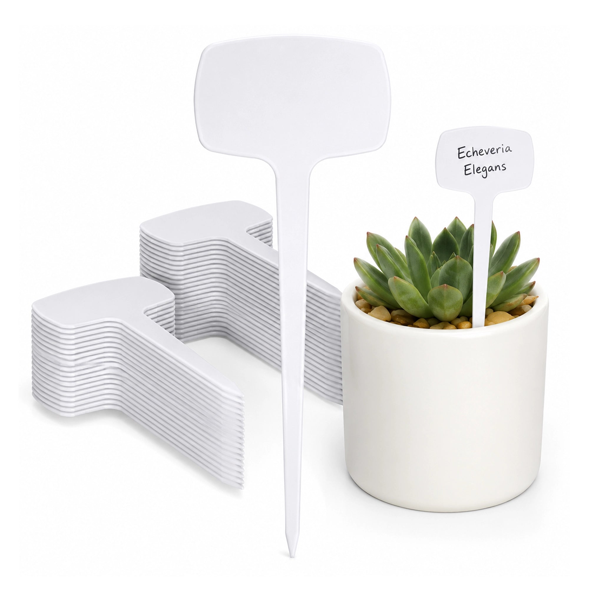 Urban Plant Gardening Name Tag - (Set of 10)