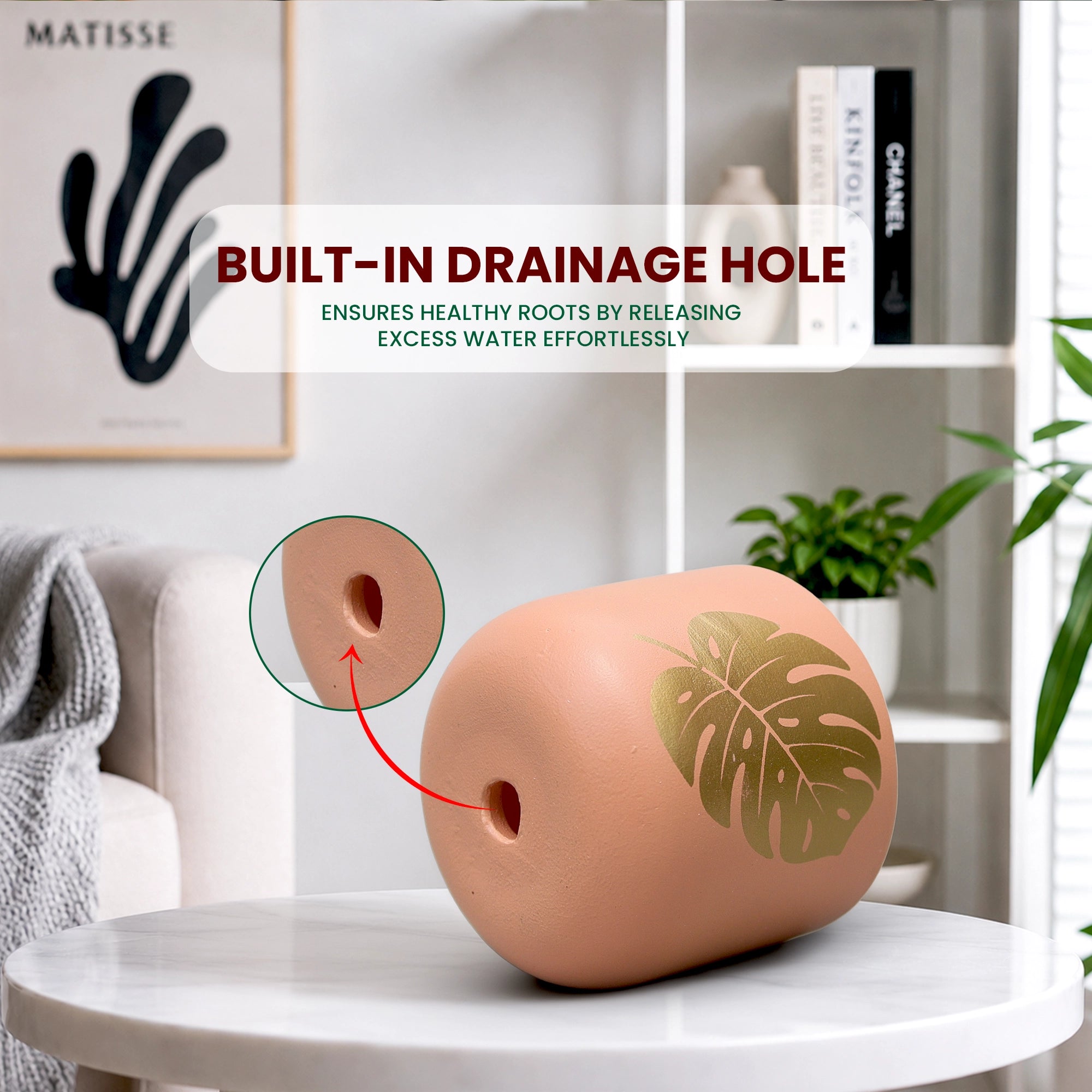 Monstera Muse Earth Gold Terracotta Pot by Urban Plant