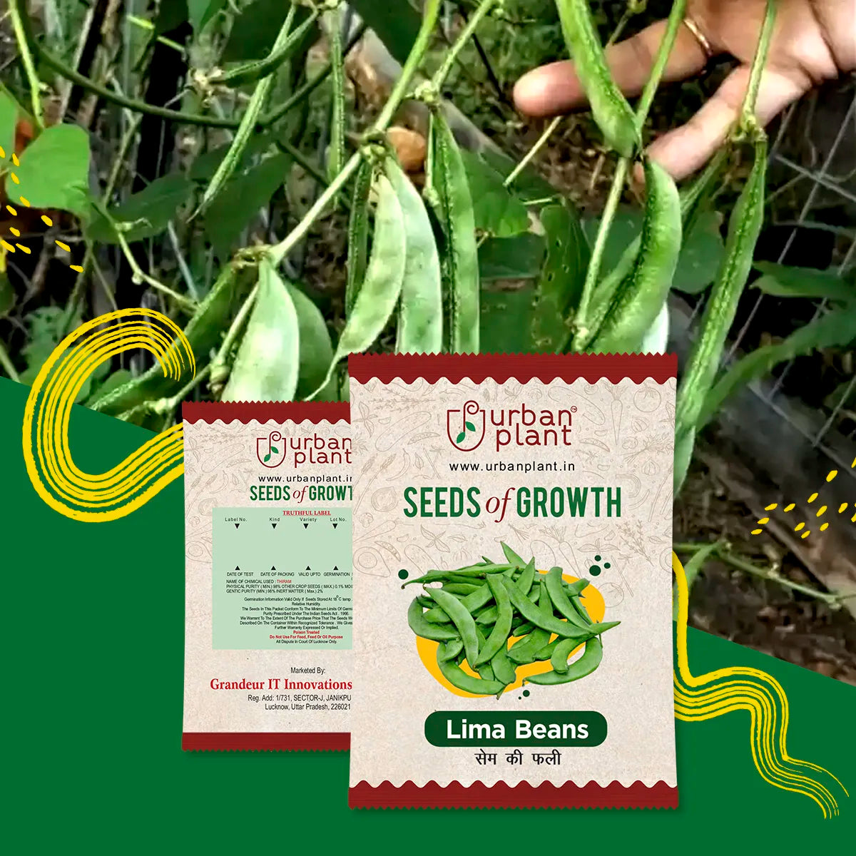 Lima Beans (Sem) Seeds Urban Plant