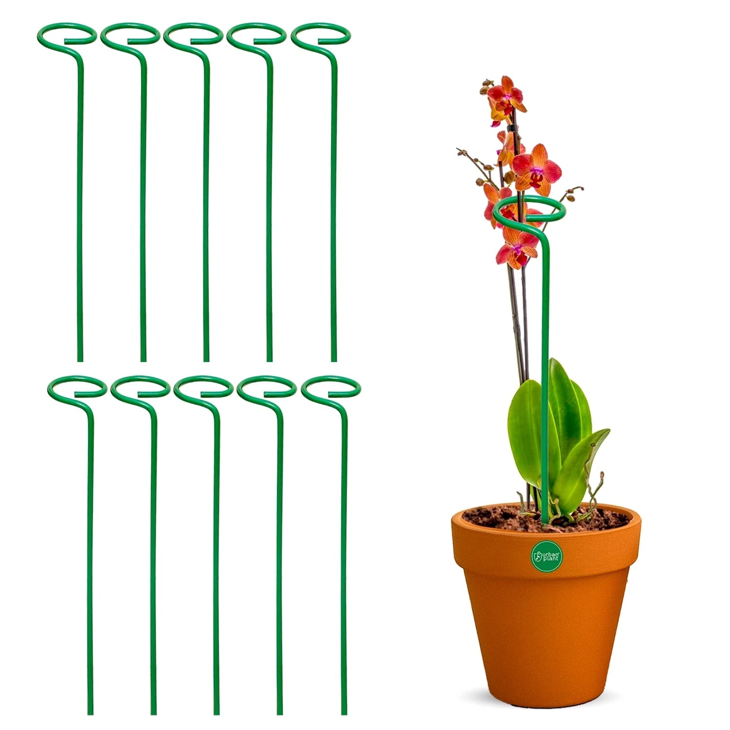 Urban Plant Garden Stakes Gardening Accessories Urban Plant Pack of 10 18 Inch