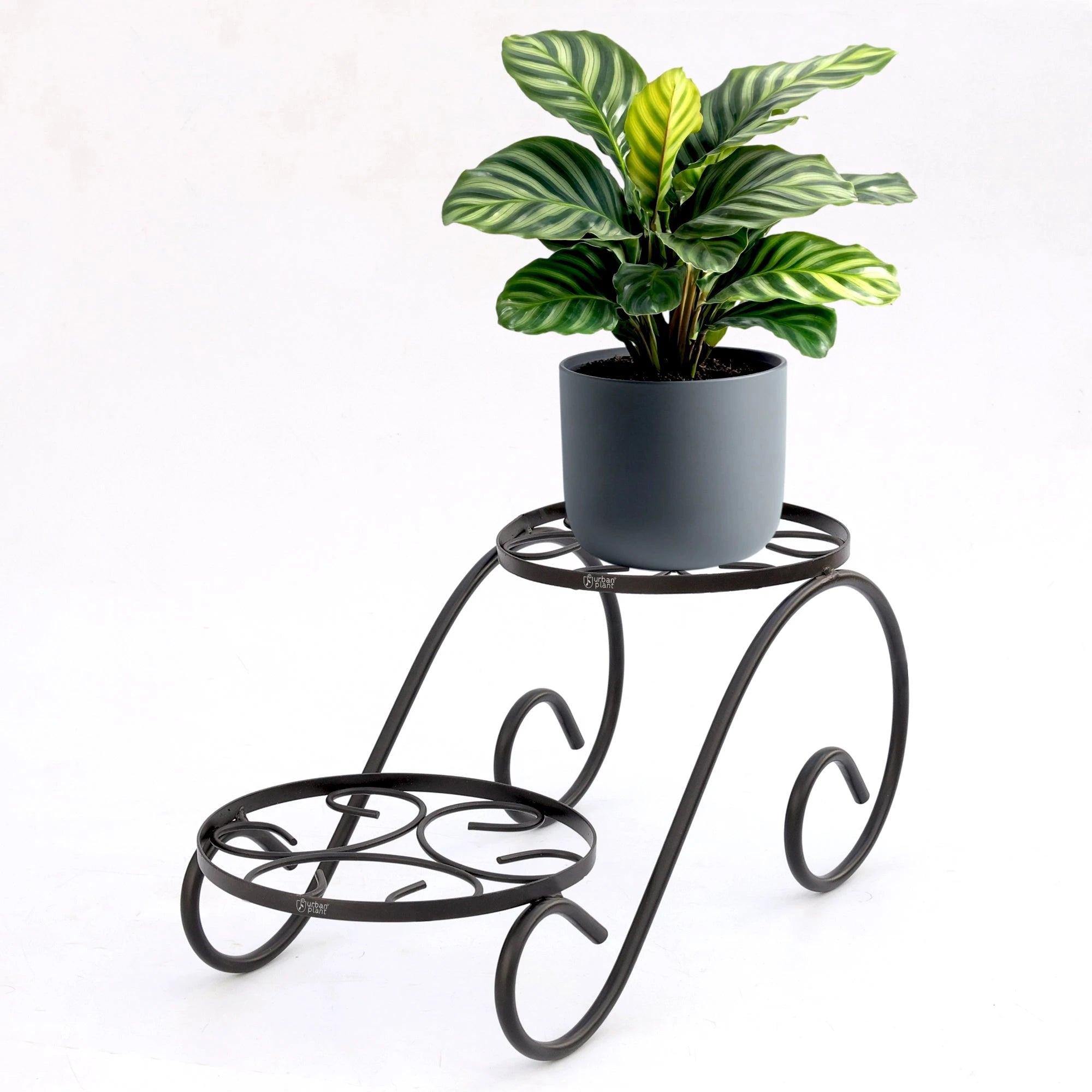 Urban Plant Twinset Stand for Plants (Pack of 1) Urban Plant