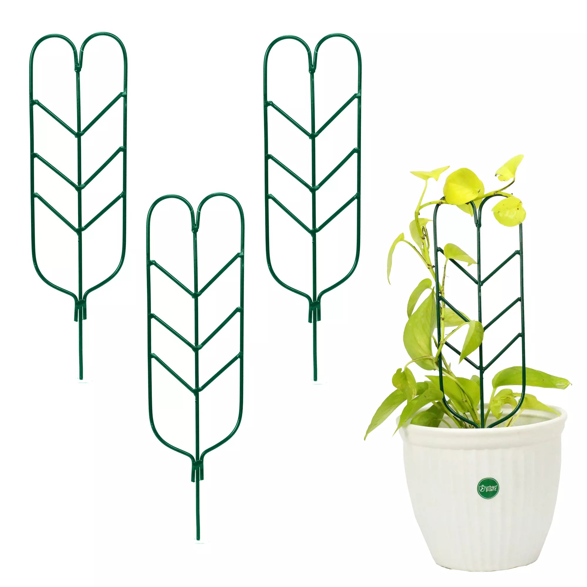 3Pcs Leafy Metal Plant Trellis for Plant Support Urban Plant Green
