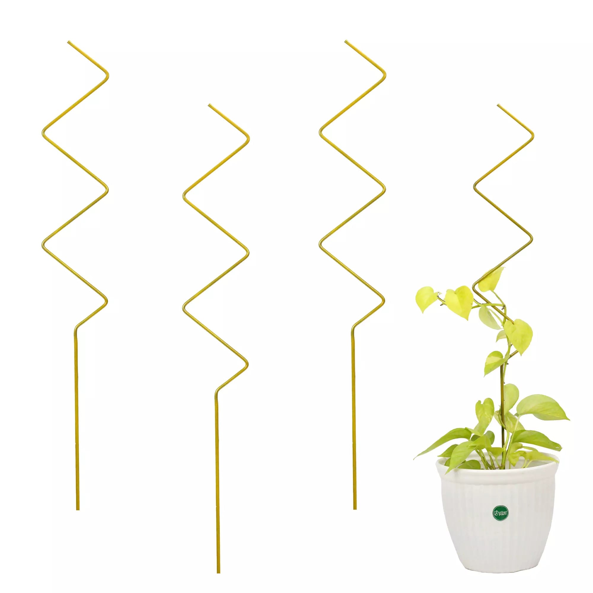 3Pcs Metal Plant Trellis for Potted Plants Urban Plant Gold Zigzag 