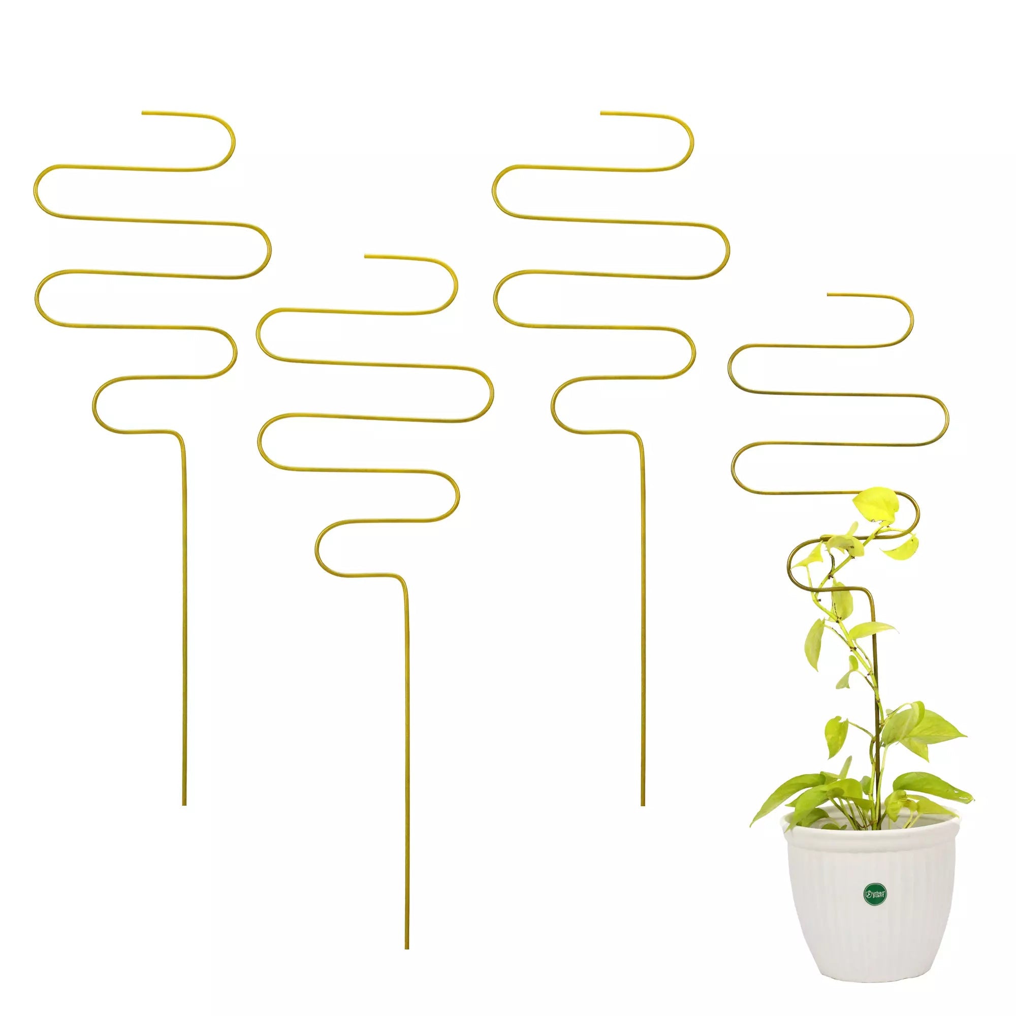 3Pcs Metal Plant Trellis for Potted Plants Urban Plant Gold Spiral