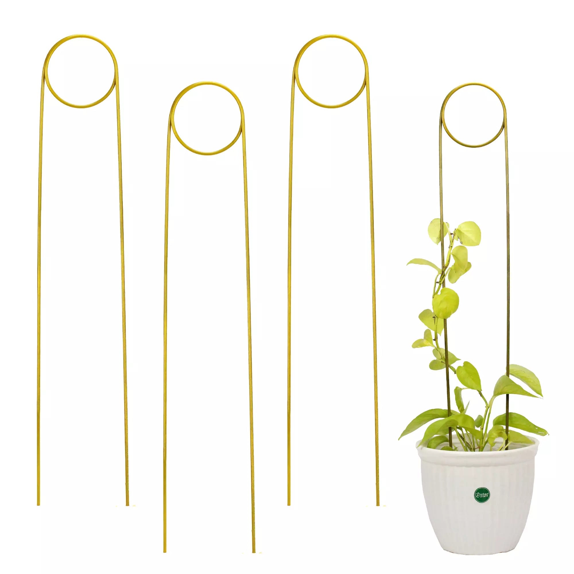 3Pcs Metal Plant Trellis for Potted Plants Urban Plant Gold Tongs