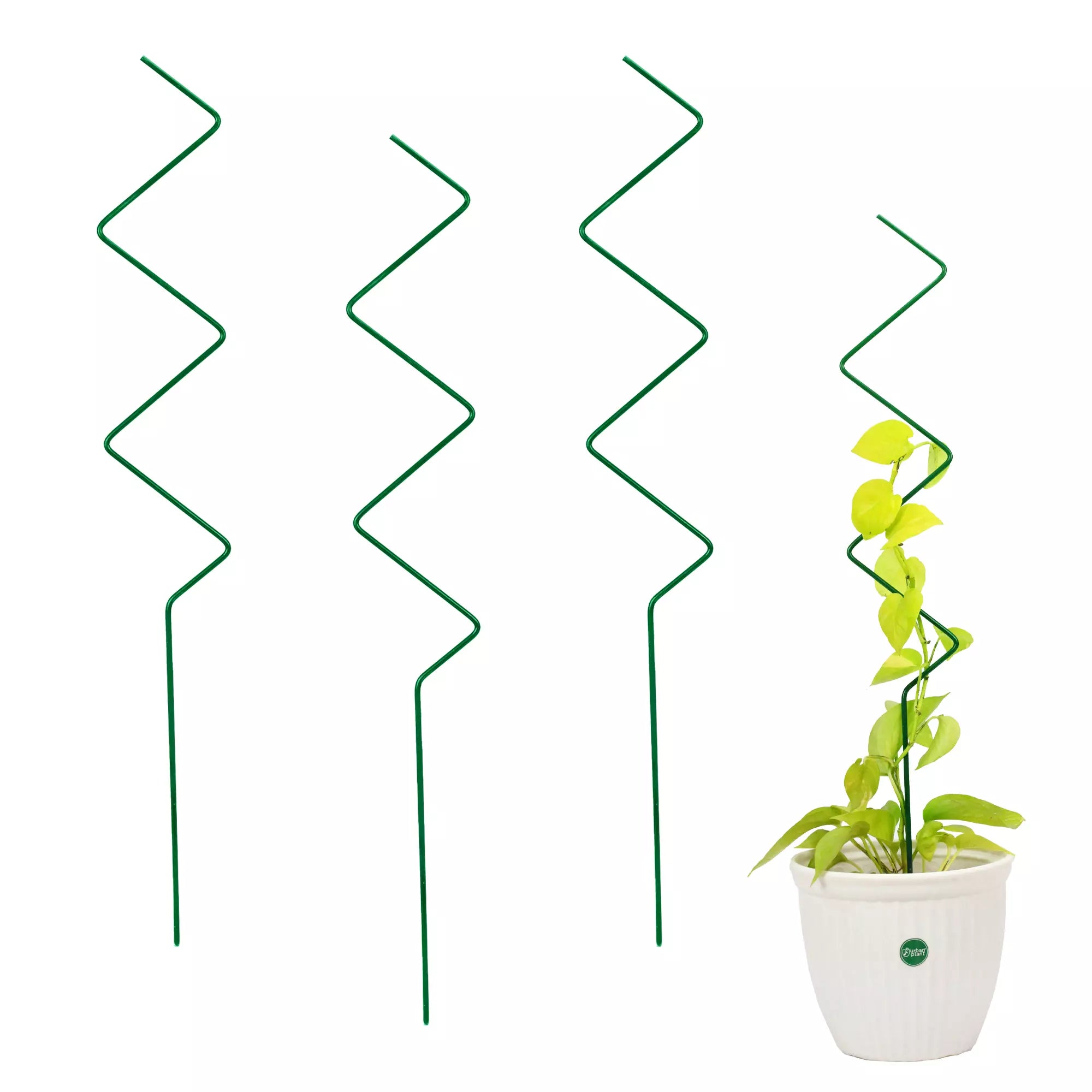 3Pcs Metal Plant Trellis for Potted Plants Urban Plant Green Zigzag