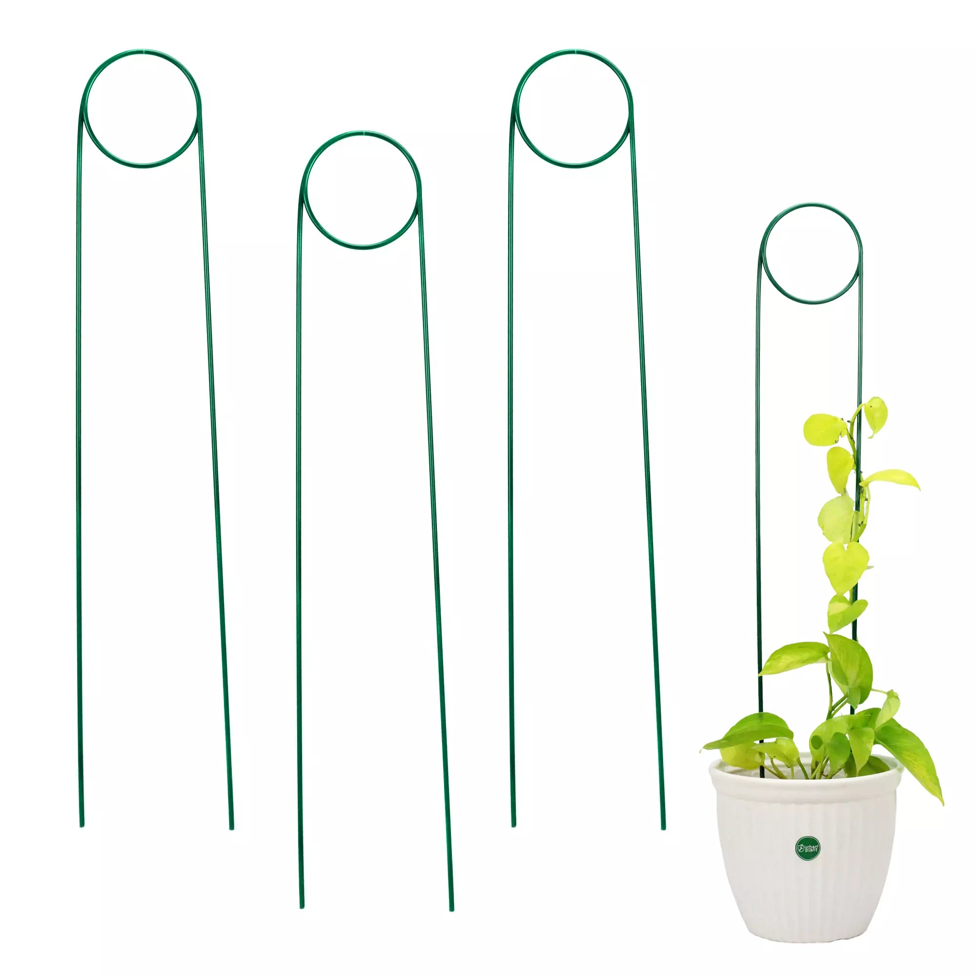 3Pcs Metal Plant Trellis for Potted Plants Urban Plant Green Tongs