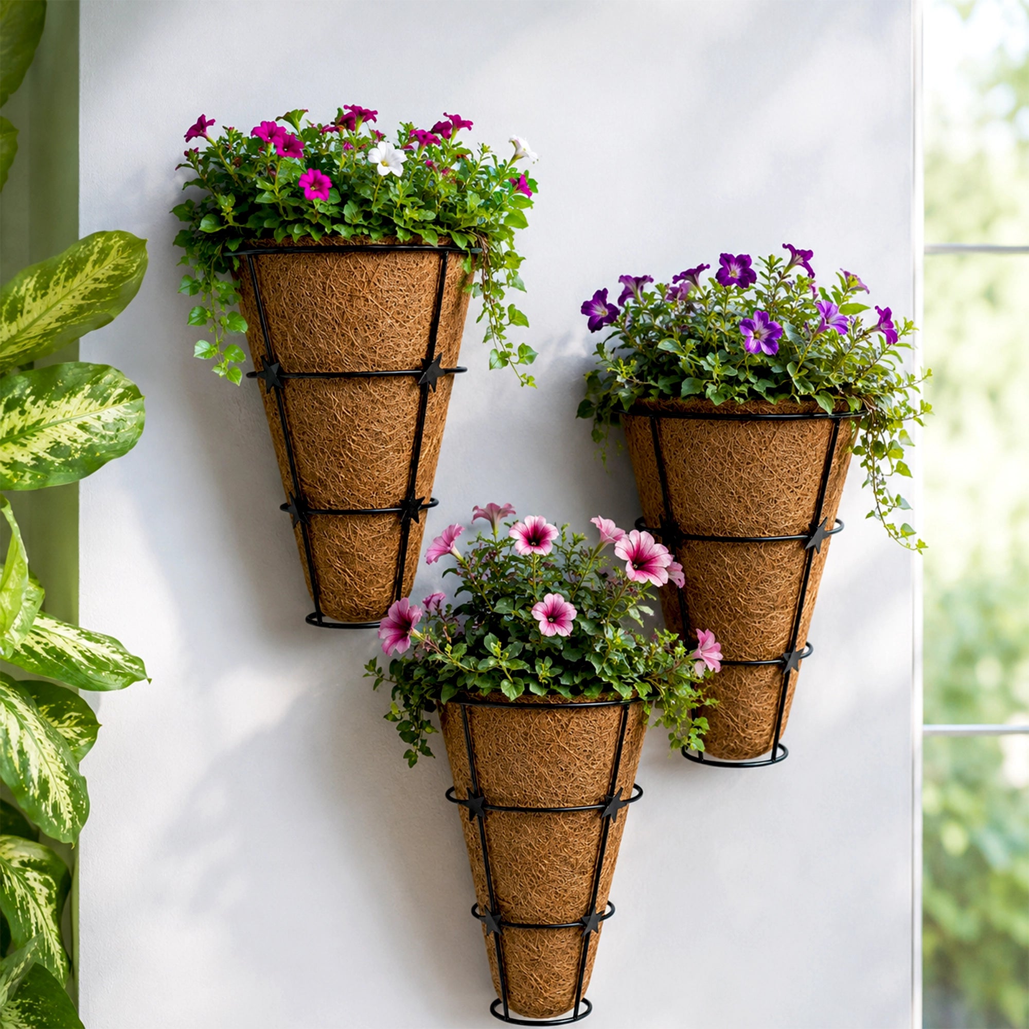 Urban Plant CONE Coir Wall Planter – Set of 3 | Natural Coir Liner with Decorative Metal Wall Basket