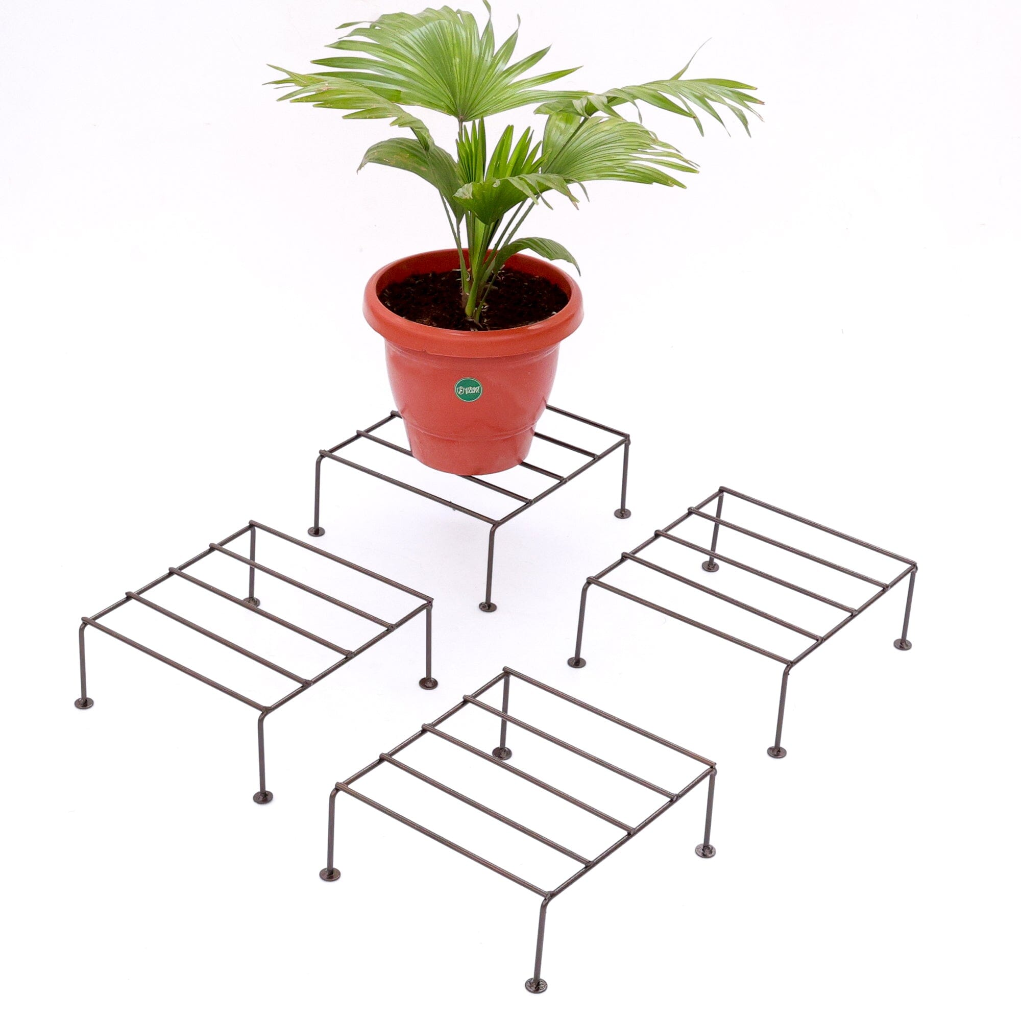 Urban Plant Titanium Stand (Set of 4 - Brown) Metal Stand Urban Plant
