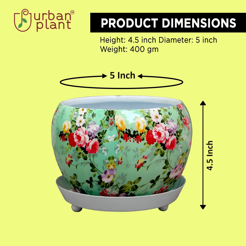 Flora Metal Pot with Saucer Metal Planter Urban Plant
