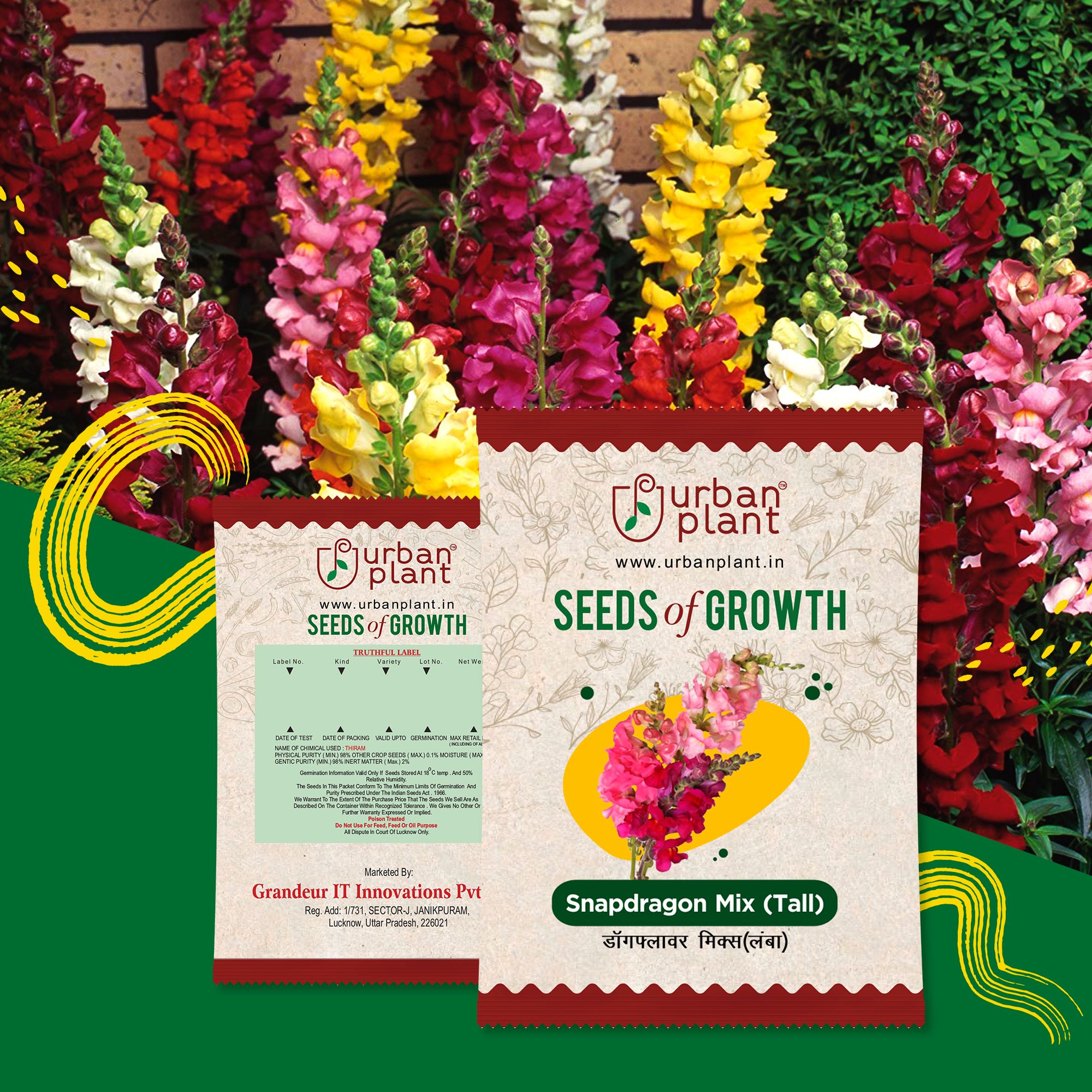 Snapdragon Mix Tall Flower Seeds Flower Seed Urban Plant 