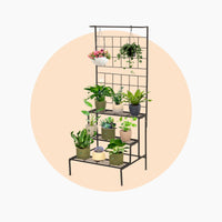 Stands
