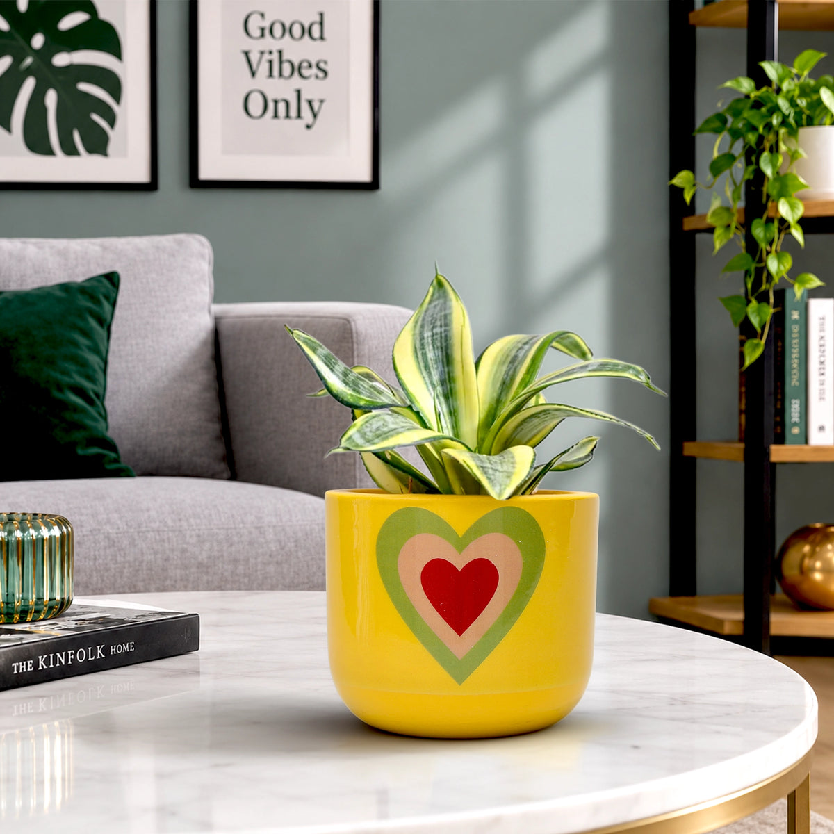 Urban Plant Heart Bloom Terracotta Pot