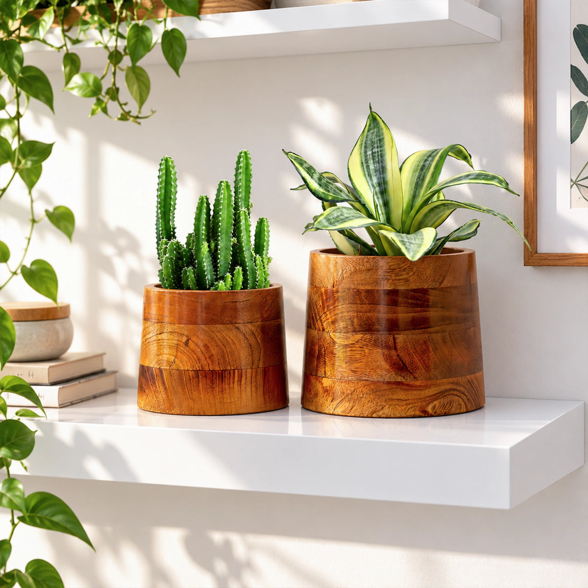 Earth Bowl Wooden Planters (Set of 2): Shape: Taper