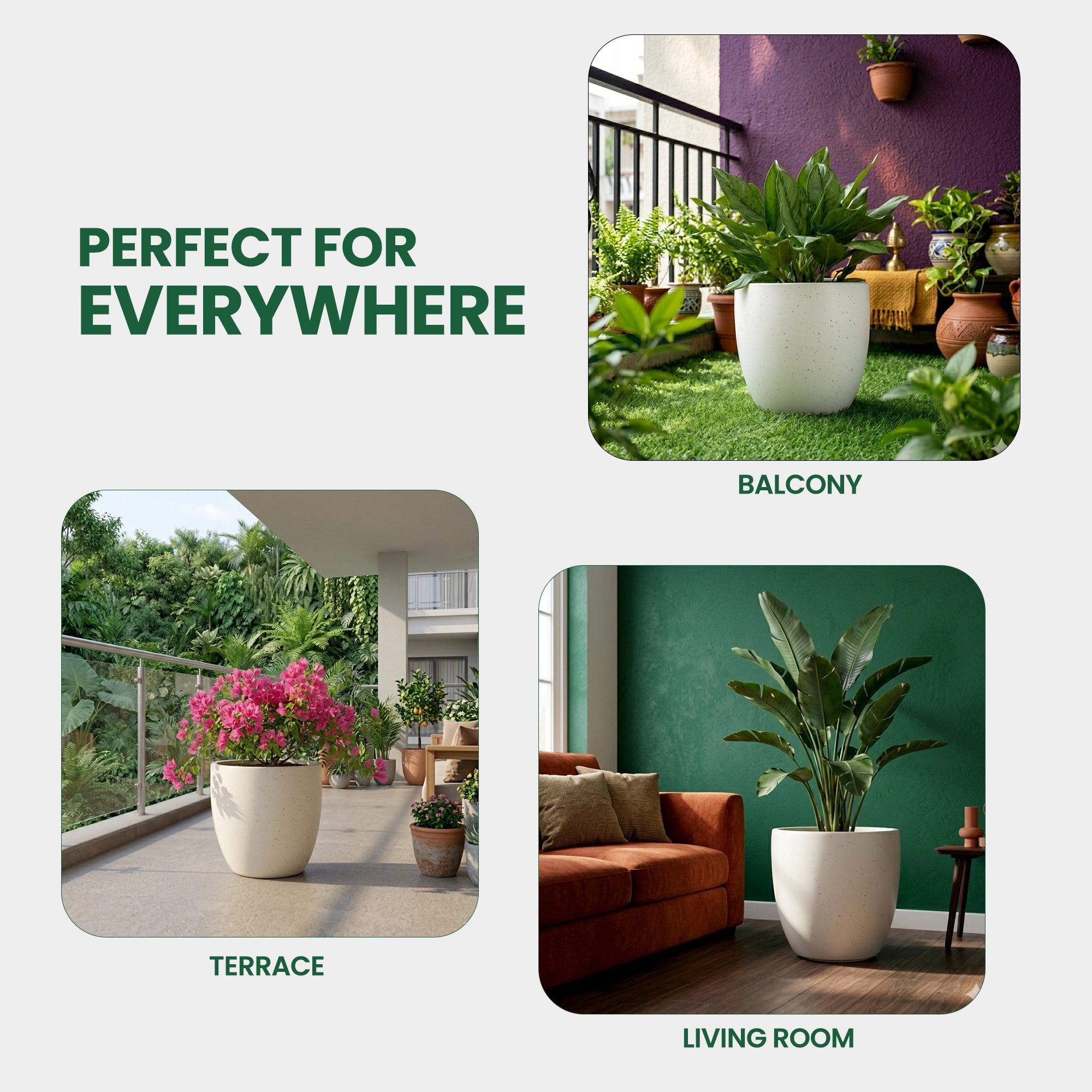 CURVA Planter – M14 (5 Years Warranty) | Usage