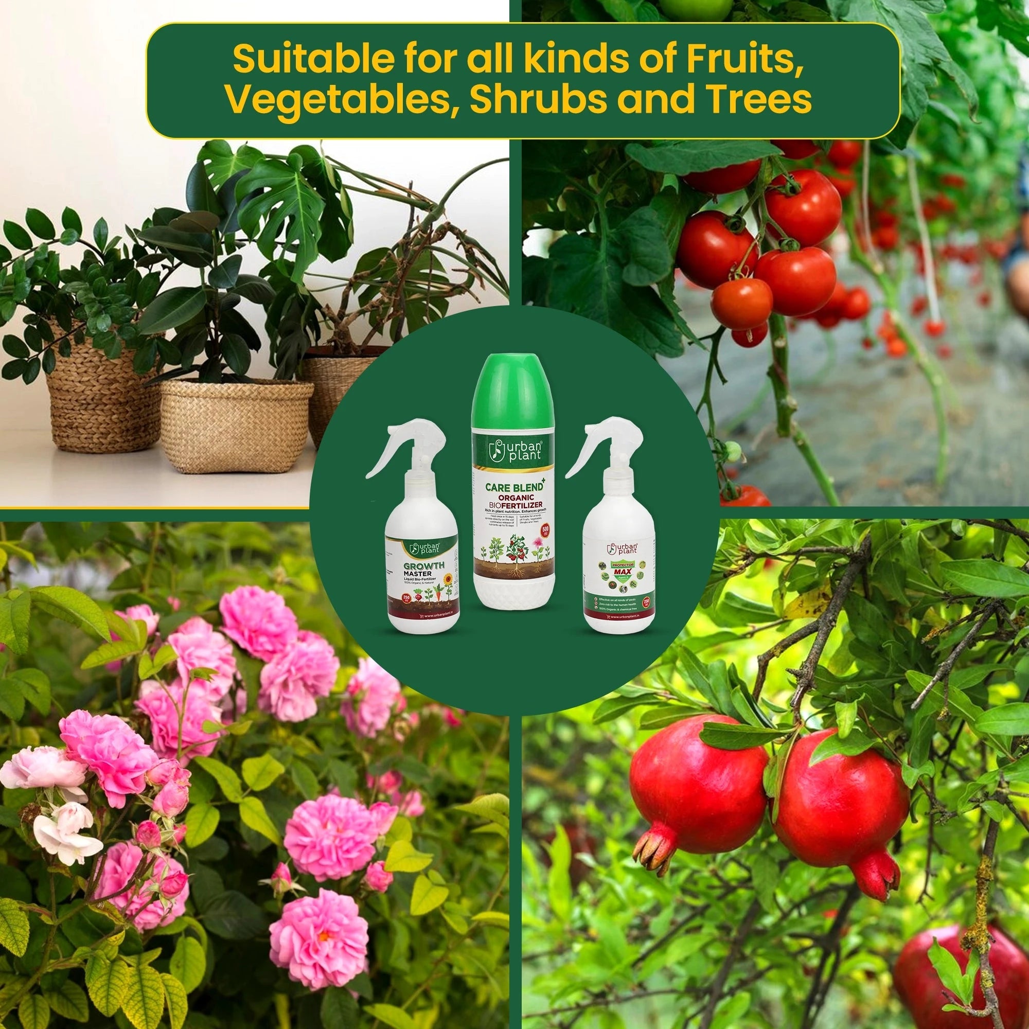 Urban Plant 360° Growth & Protection Kit Plant Care Urban Plant