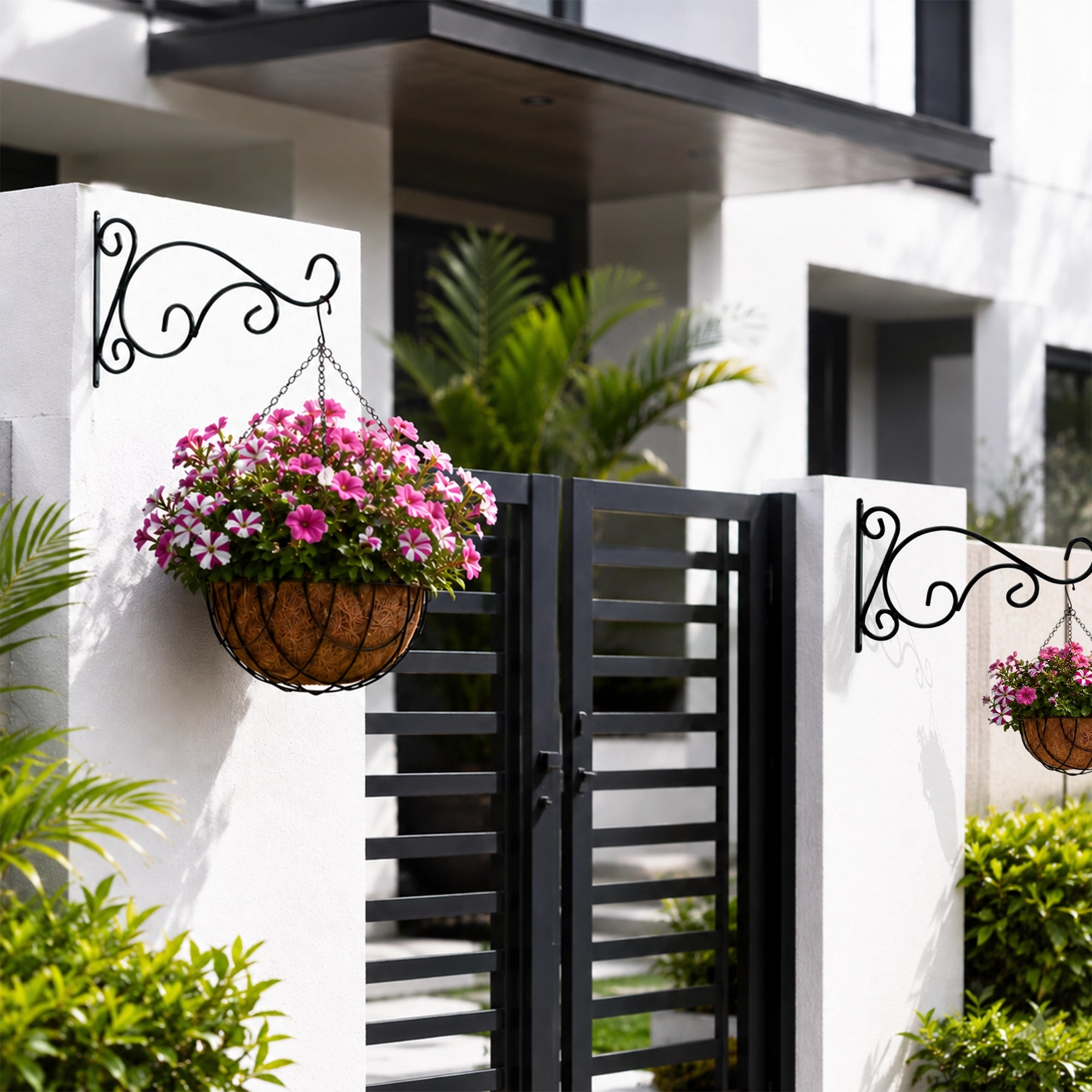 Curved Wall Bracket for Plant - (Set of 2)