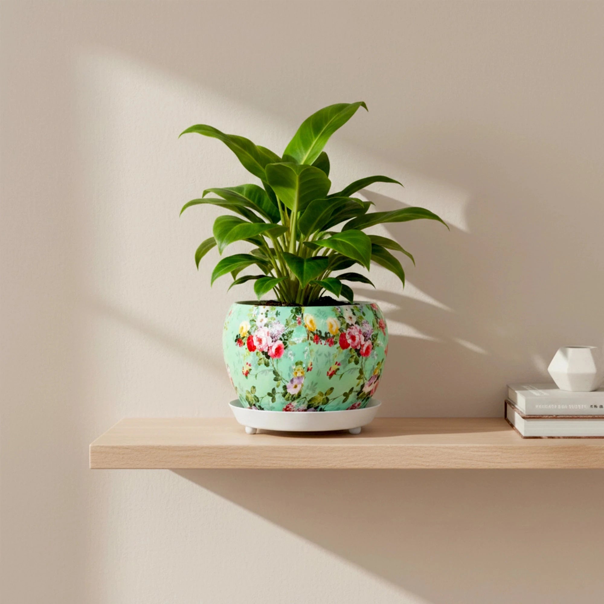 Flora Metal Pot with Saucer Metal Planter Urban Plant