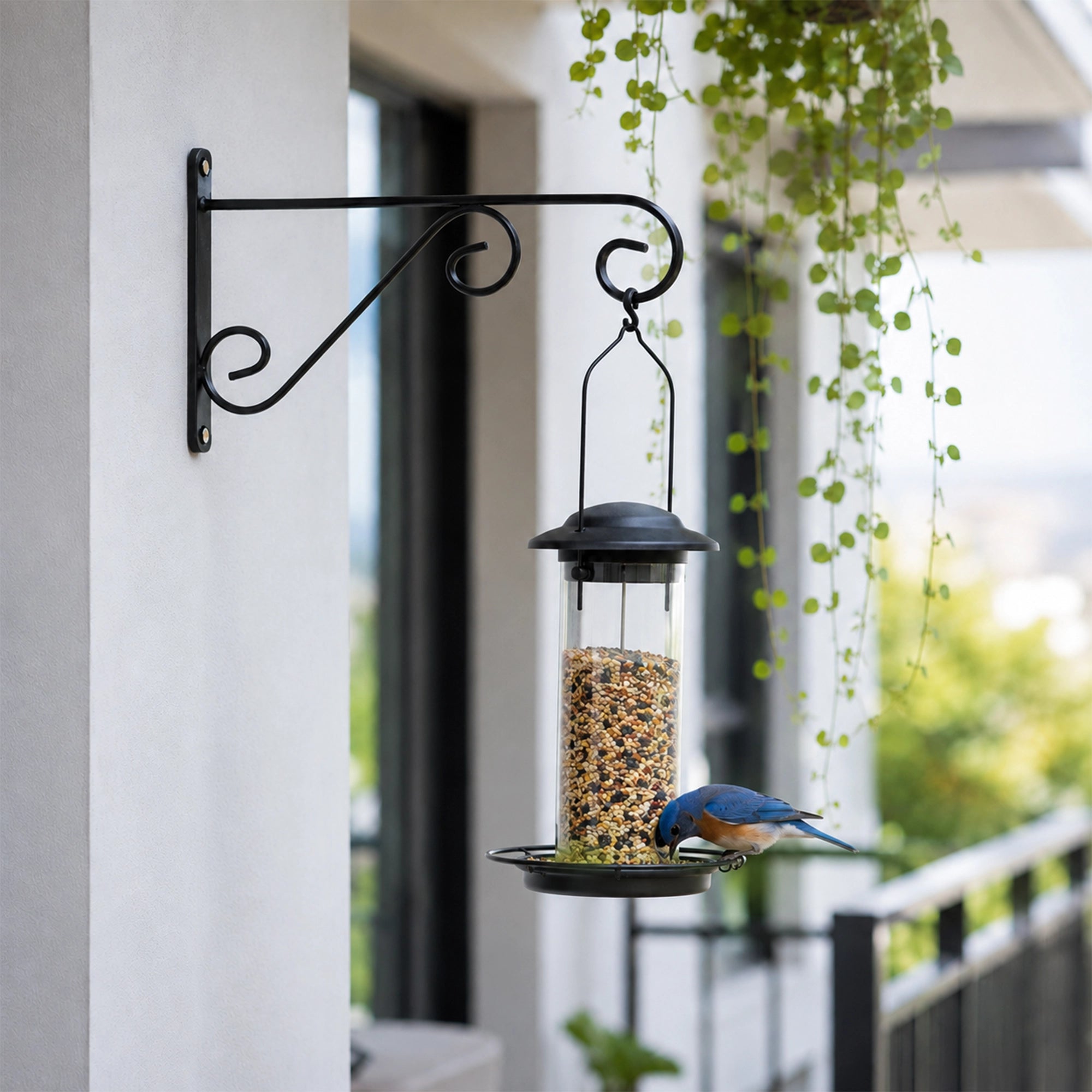 Urban Plant Metal Wall Bracket - (Set of 2) S-Shape