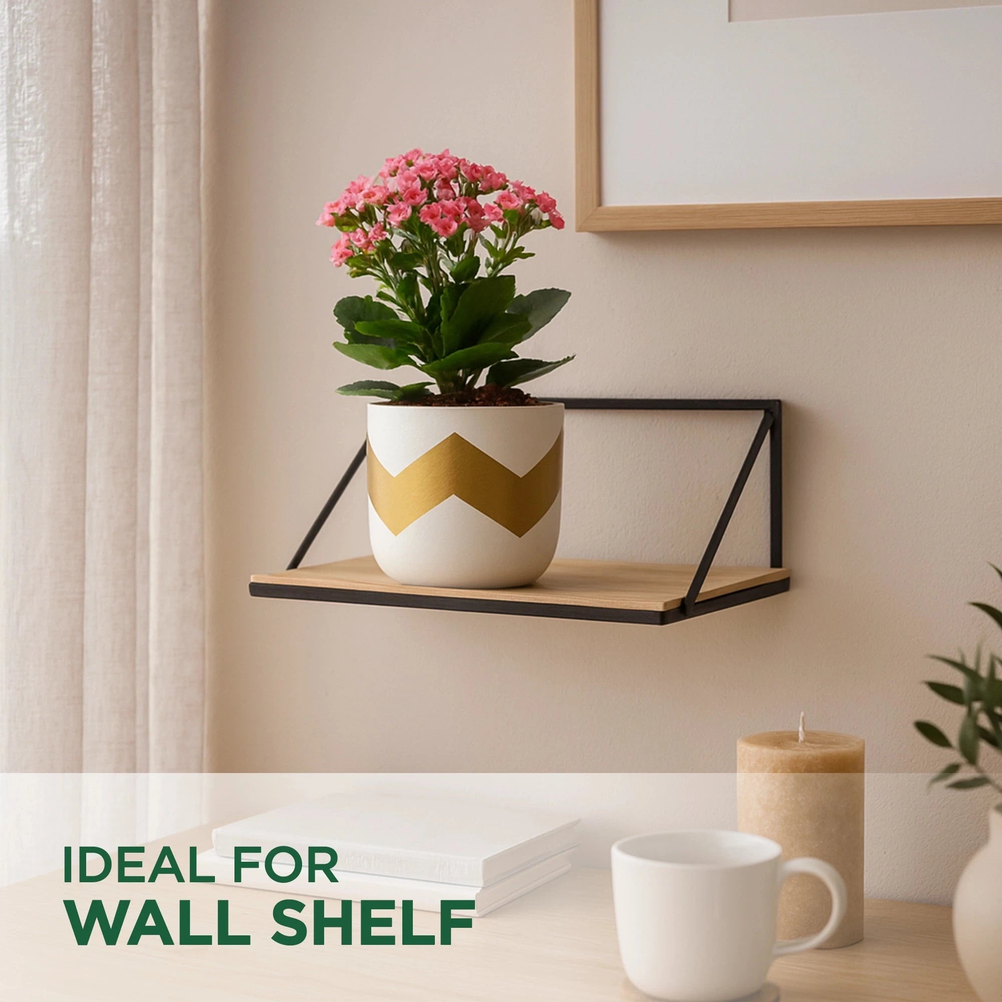 Nova Terracotta Pot Terracotta Pot Urban Plant