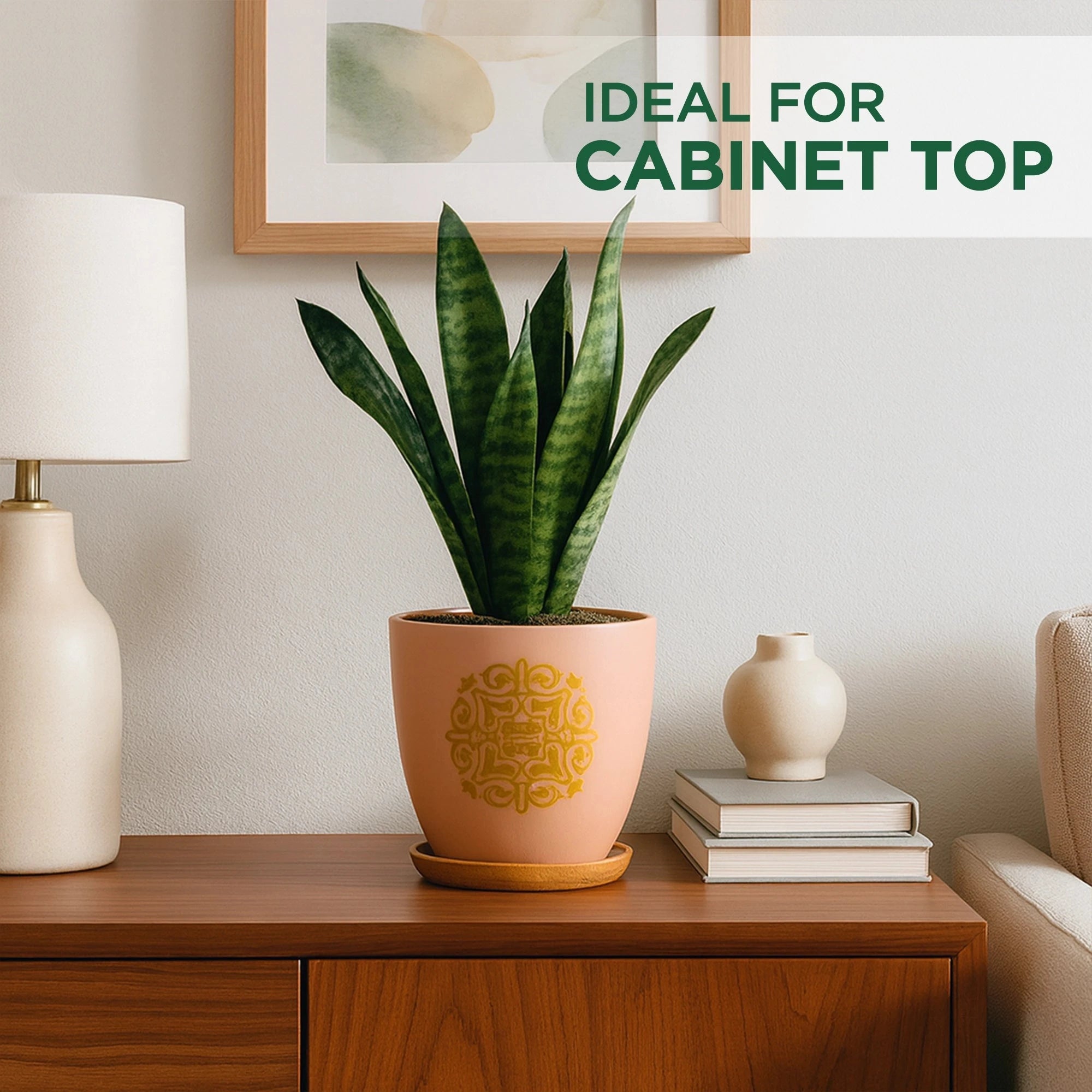 Motif Terracotta Pot With Wooden Saucer Urban Plant