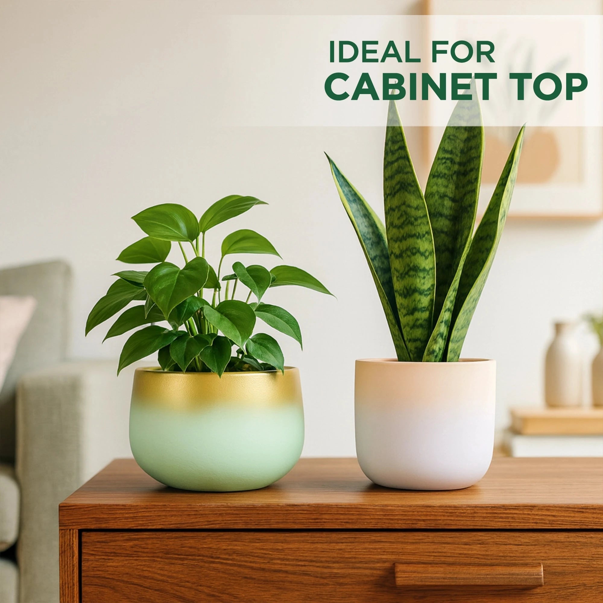 Terracotta Wonders - (Set of 2) Terracotta Pot Urban Plant