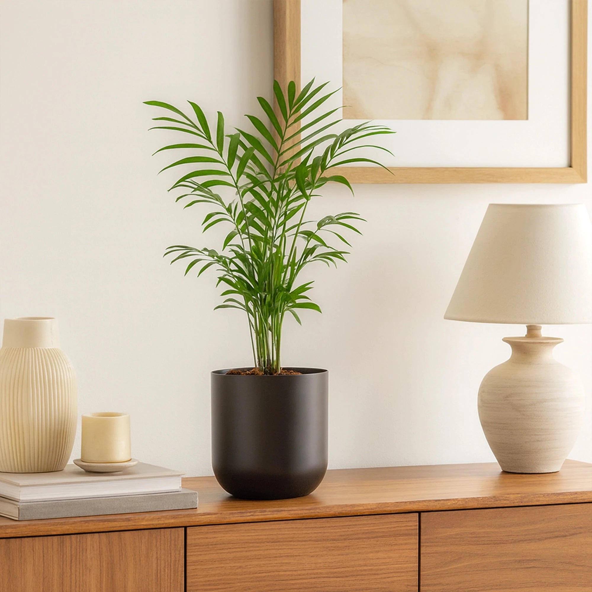 Metallic Miniature Planter (Black - Pack of 1) Metal Planter Urban Plant