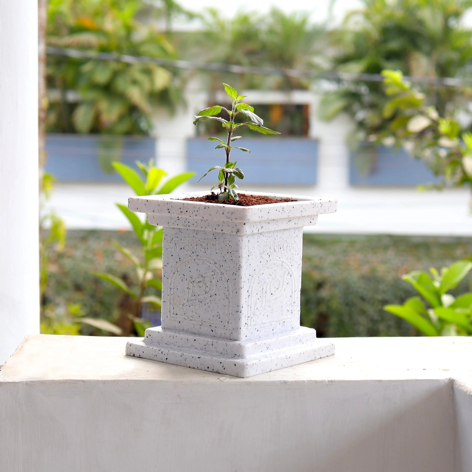 Tulsi Vatika Pot (White) Plastic Pot Urban Plant