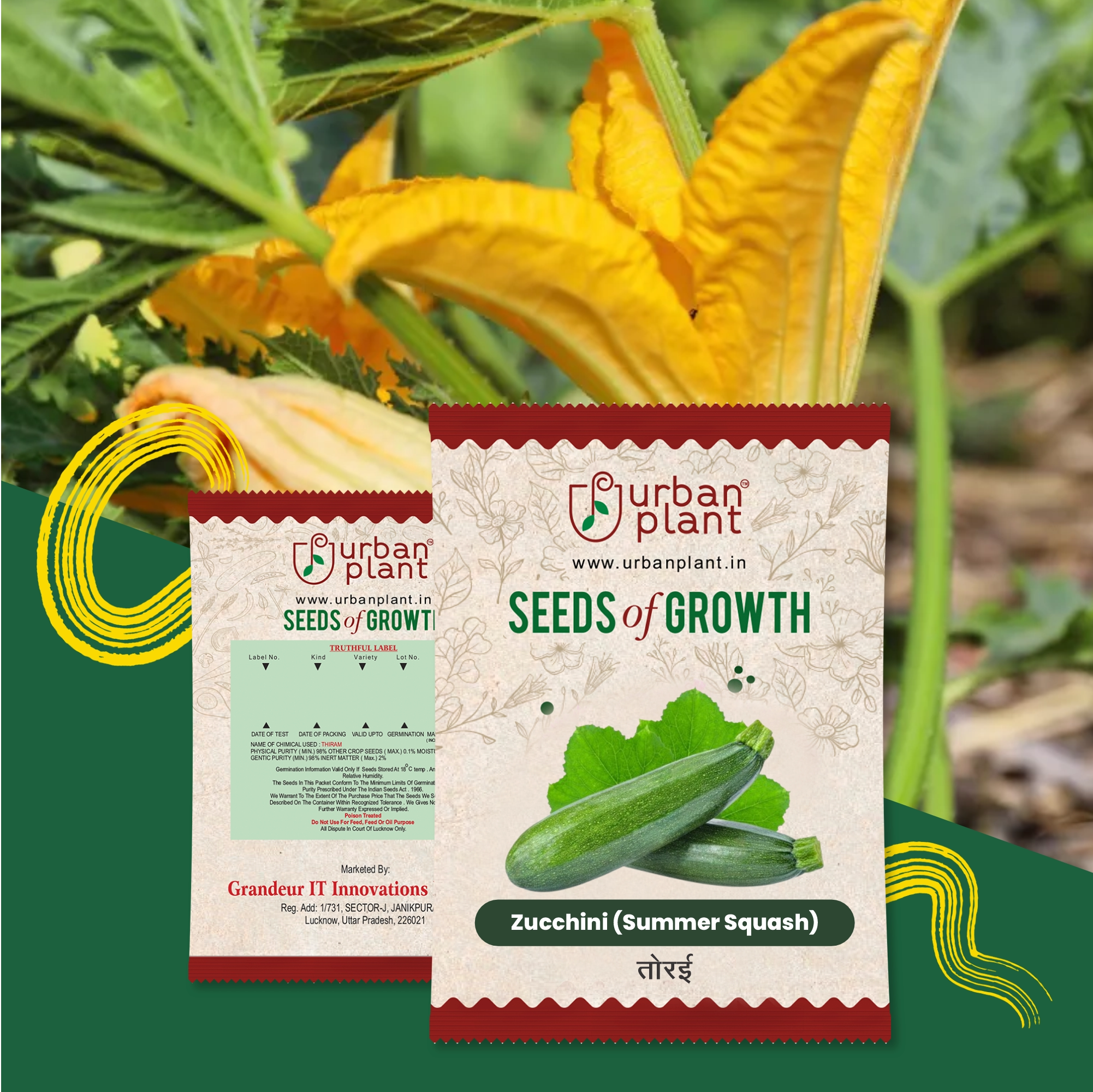 Zucchini (Summer Squash) Seeds