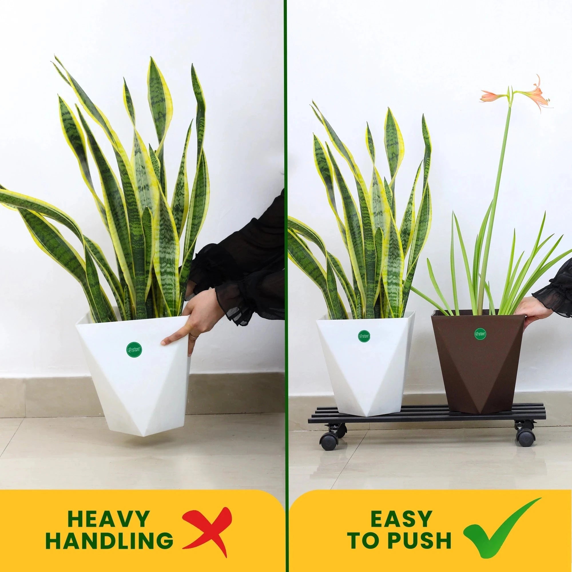 Urban Plant Rectangular Caddy with Wheel Rolling Plant Stand (Set of 4) Urban Plant