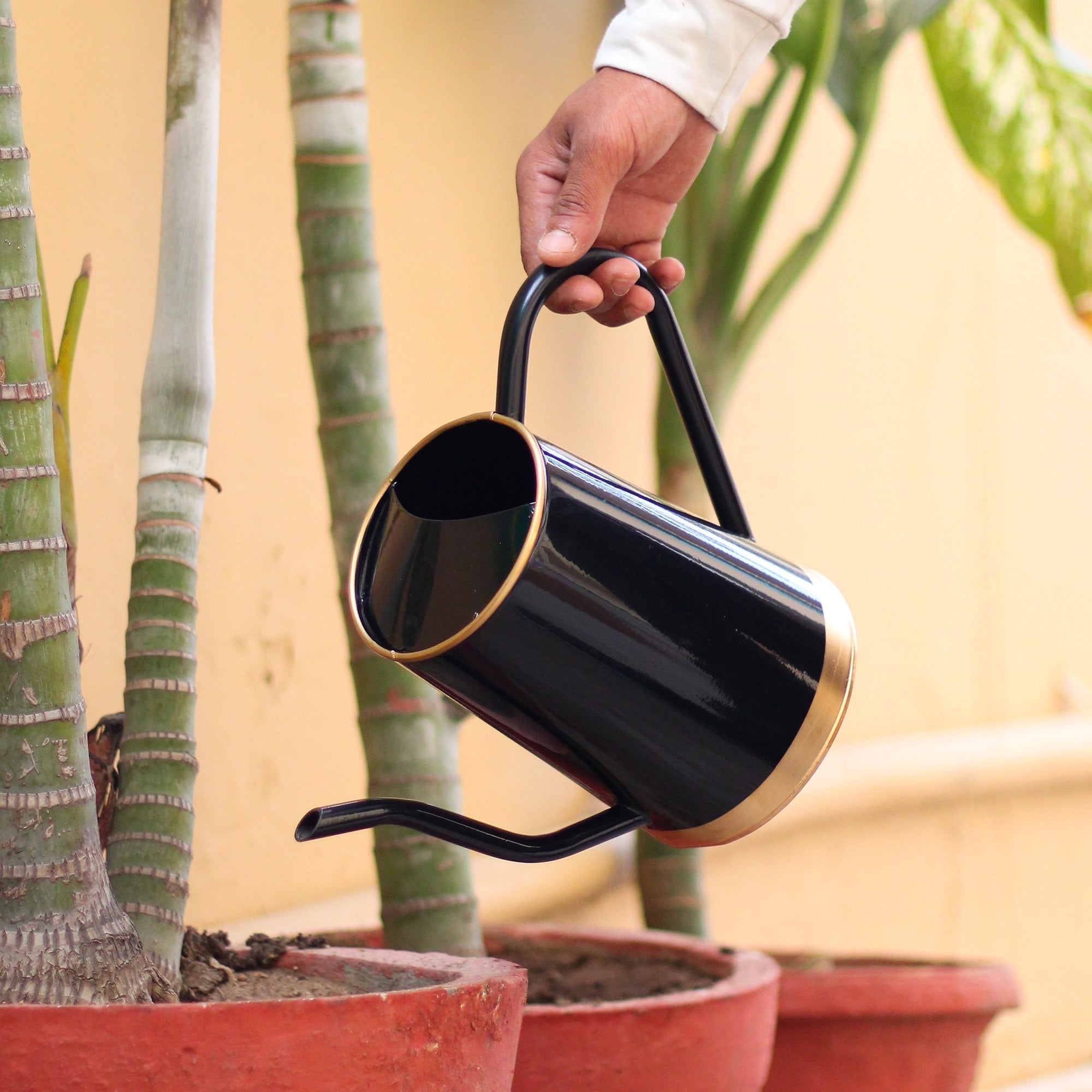 Urban Plant Metal Watering Can for Indoor & Outdoor Use | Best for Home Gardening | Terrace Garden Accessories | Watering Can with Long Spout - 1.5ltr Gardening Accessories Urban Plant Black 