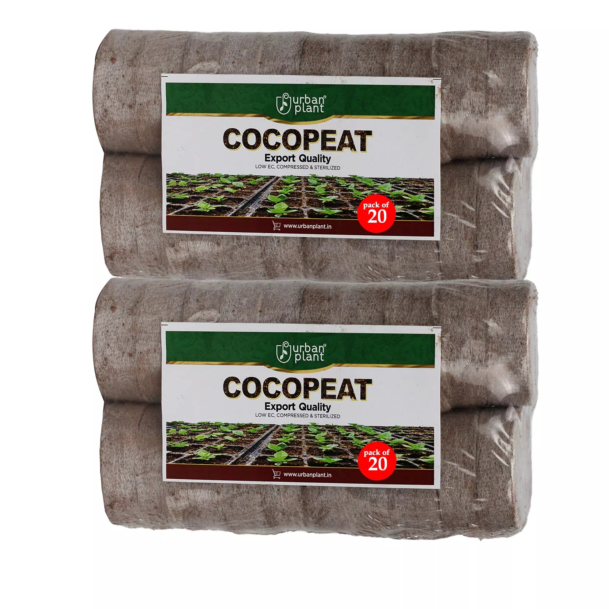 Cocopeat Seedling Coin / Disk (with Plug) Urban Plant