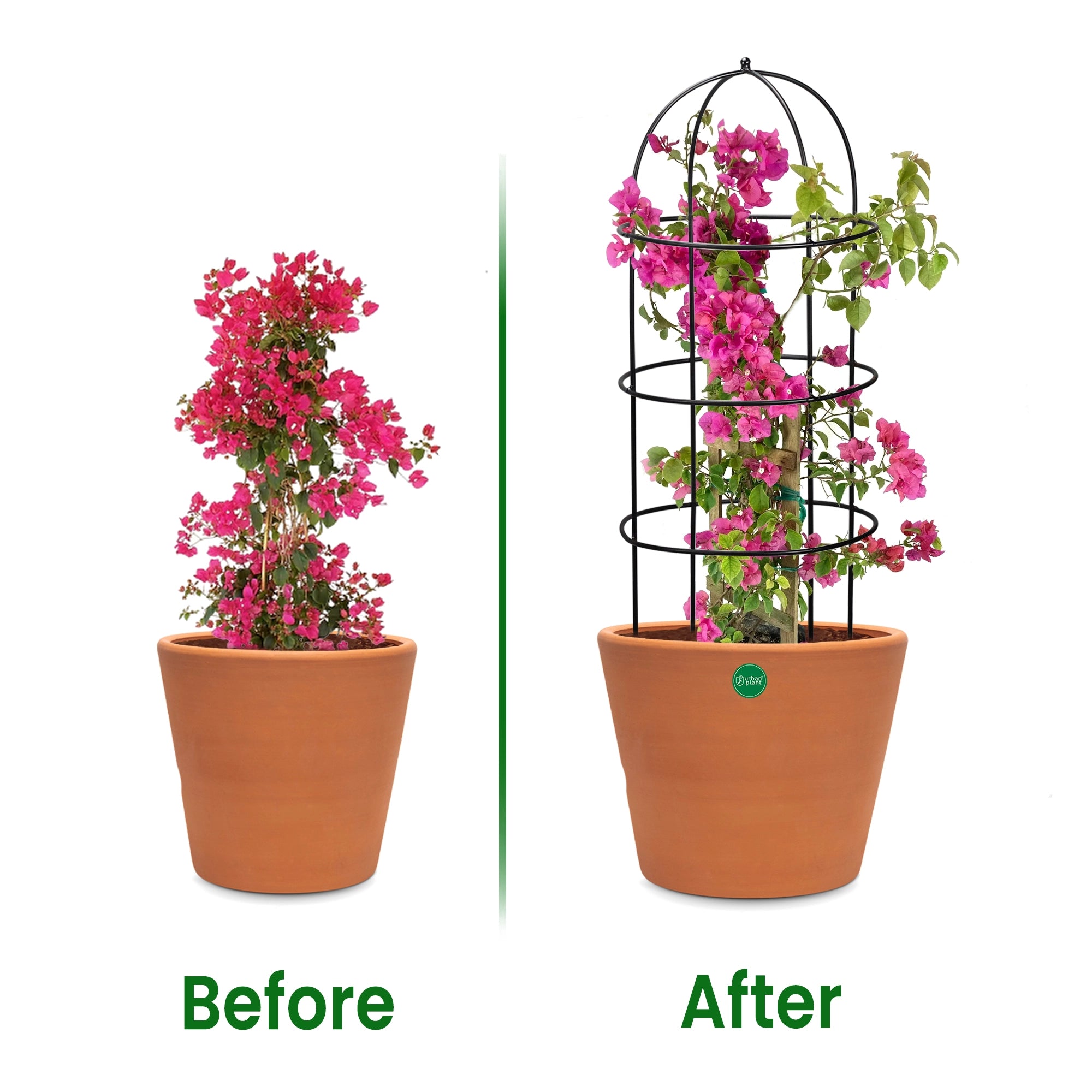 Urban Plant Trellis for Plant Protection (Set of 3) - 1193 ABC Gardening Accessories Urban Plant