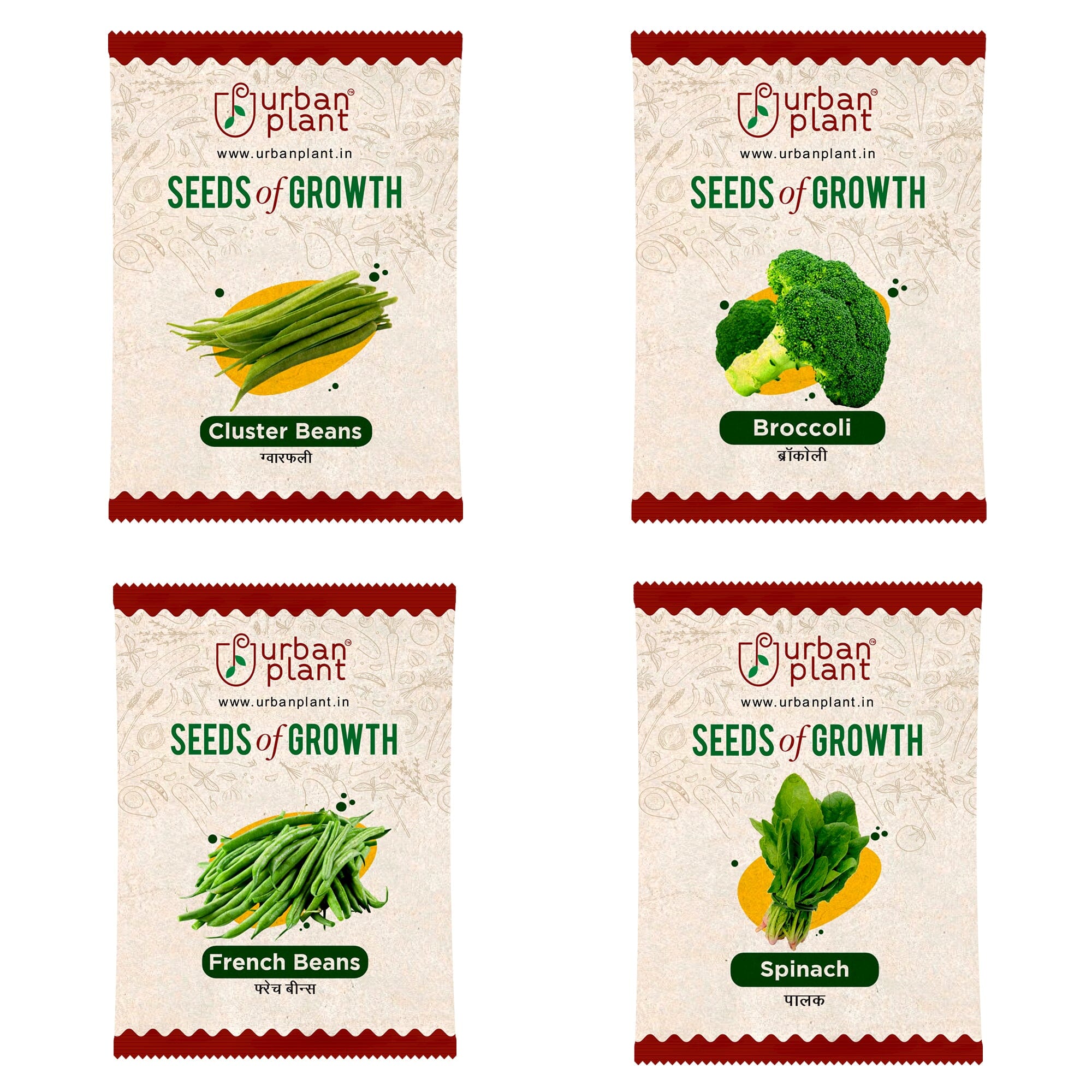 plant vegetable seeds Cluster Beans Broccoli French Bean Spinach Seeds Bundle of 4