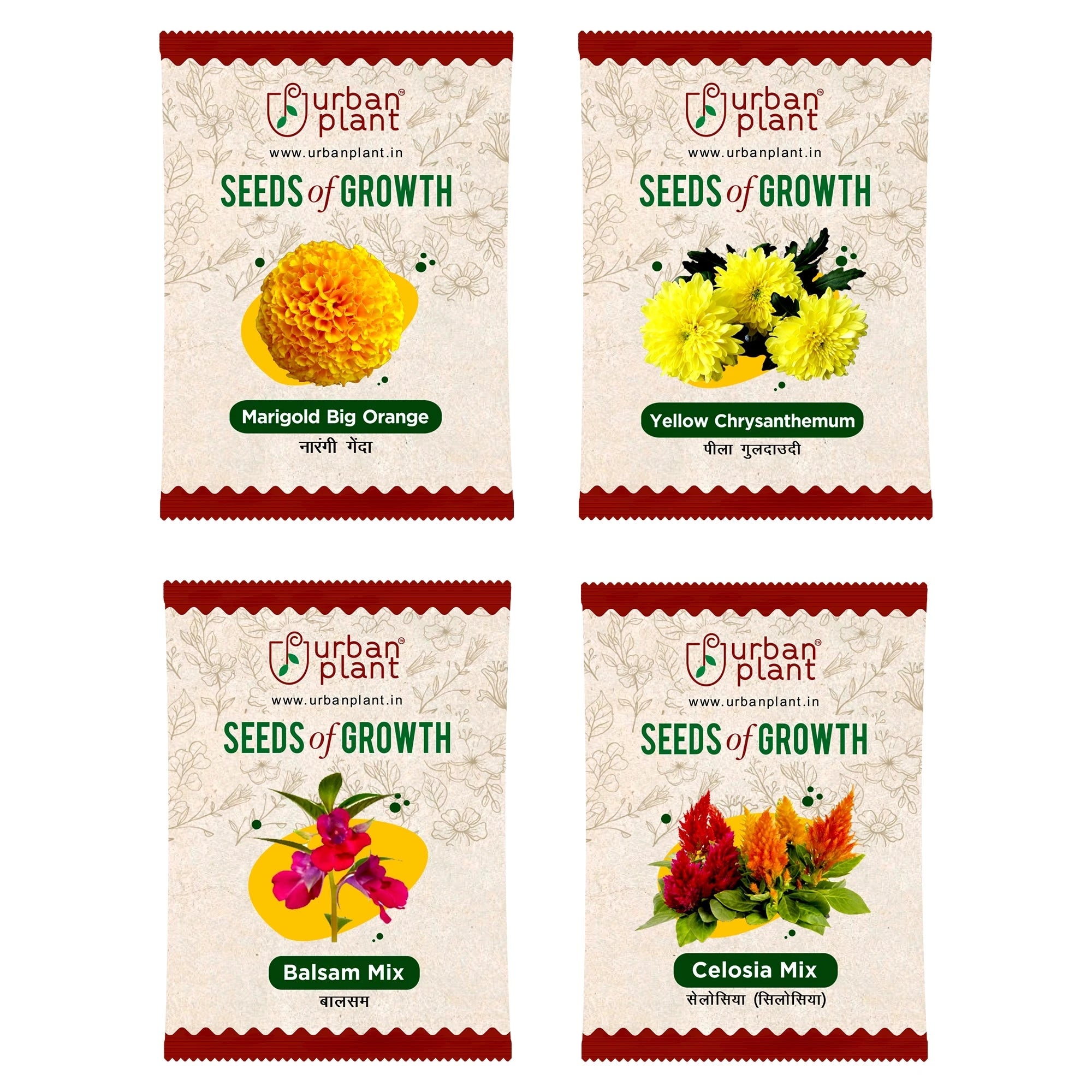 Flower Seeds Combo – (Marigold, Chrysanthemum, Balsam, Celosia) Flower Seed Urban Plant