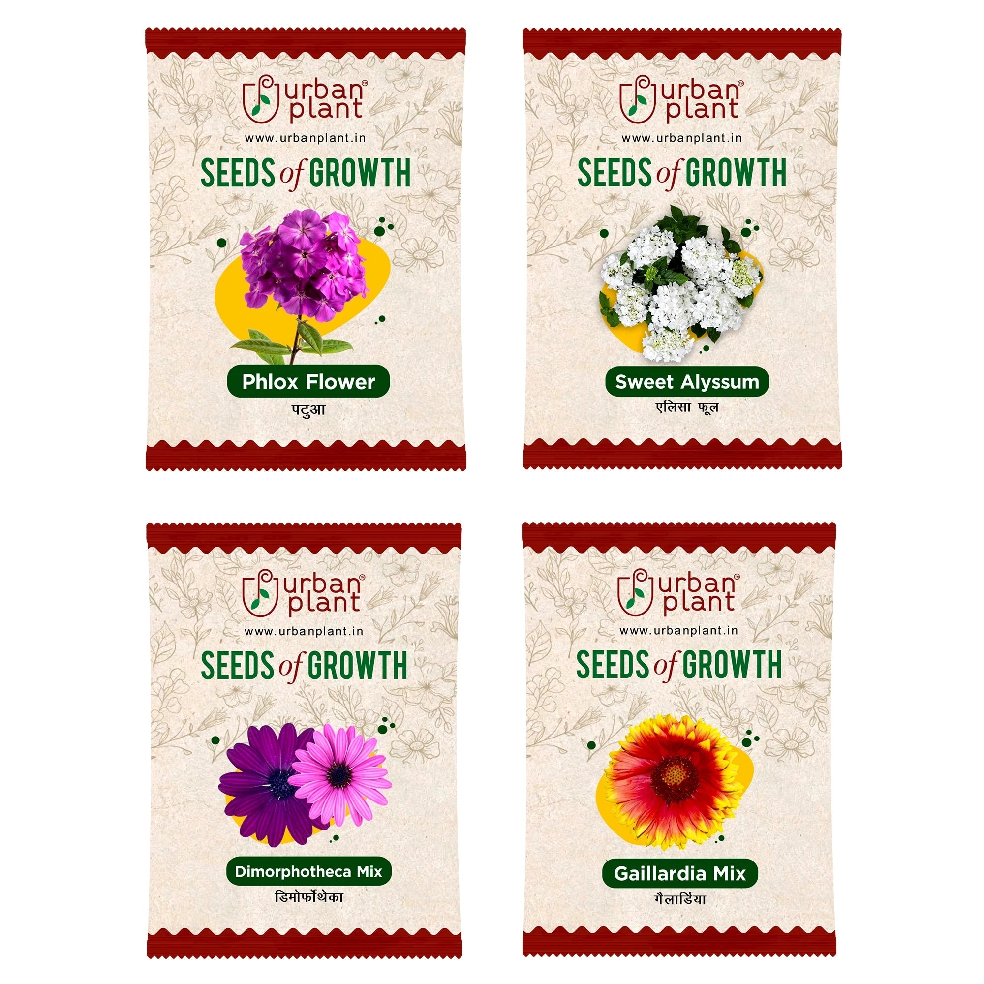 Flower Seeds Combo – (Phlox, Sweet Alyssum, Dimorphotheca, Gaillardia) Flower Seed Urban Plant