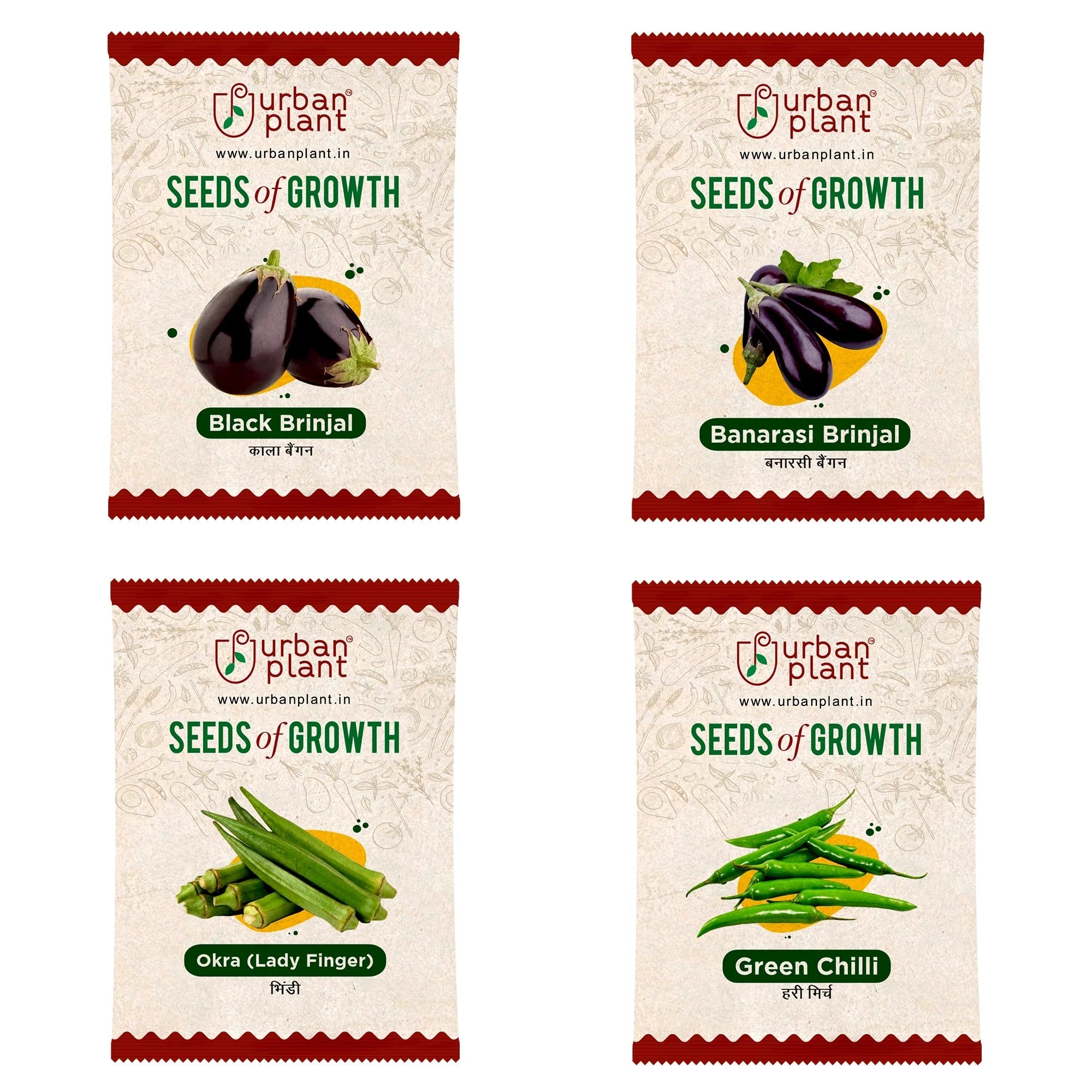 Vegetable Seeds Combo – (Black Brinjal, Banarasi Brinjal, Okra, Green Chilli) Vegetable Seed Urban Plant