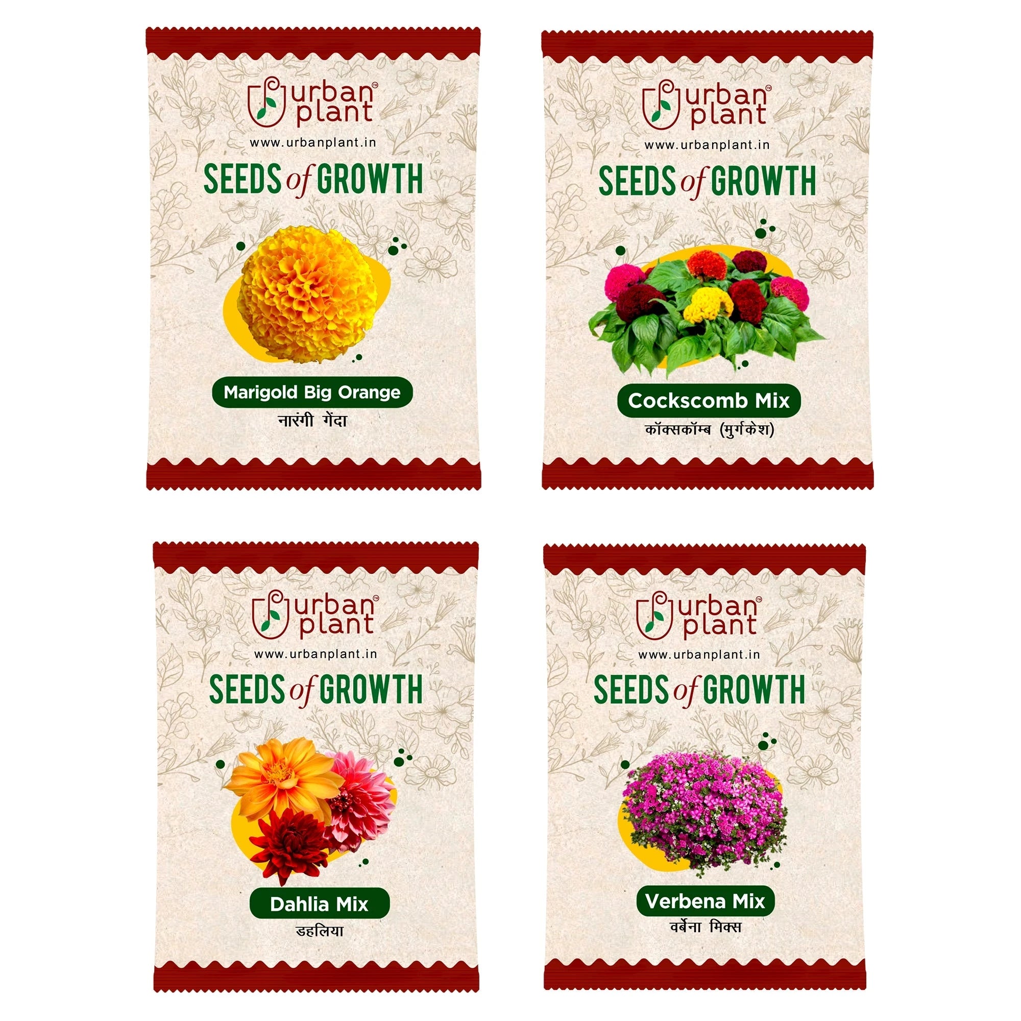 Flower Seeds Combo – (Marigold, Cockscomb, Dahlia, Verbena) Flower Seed Urban Plant