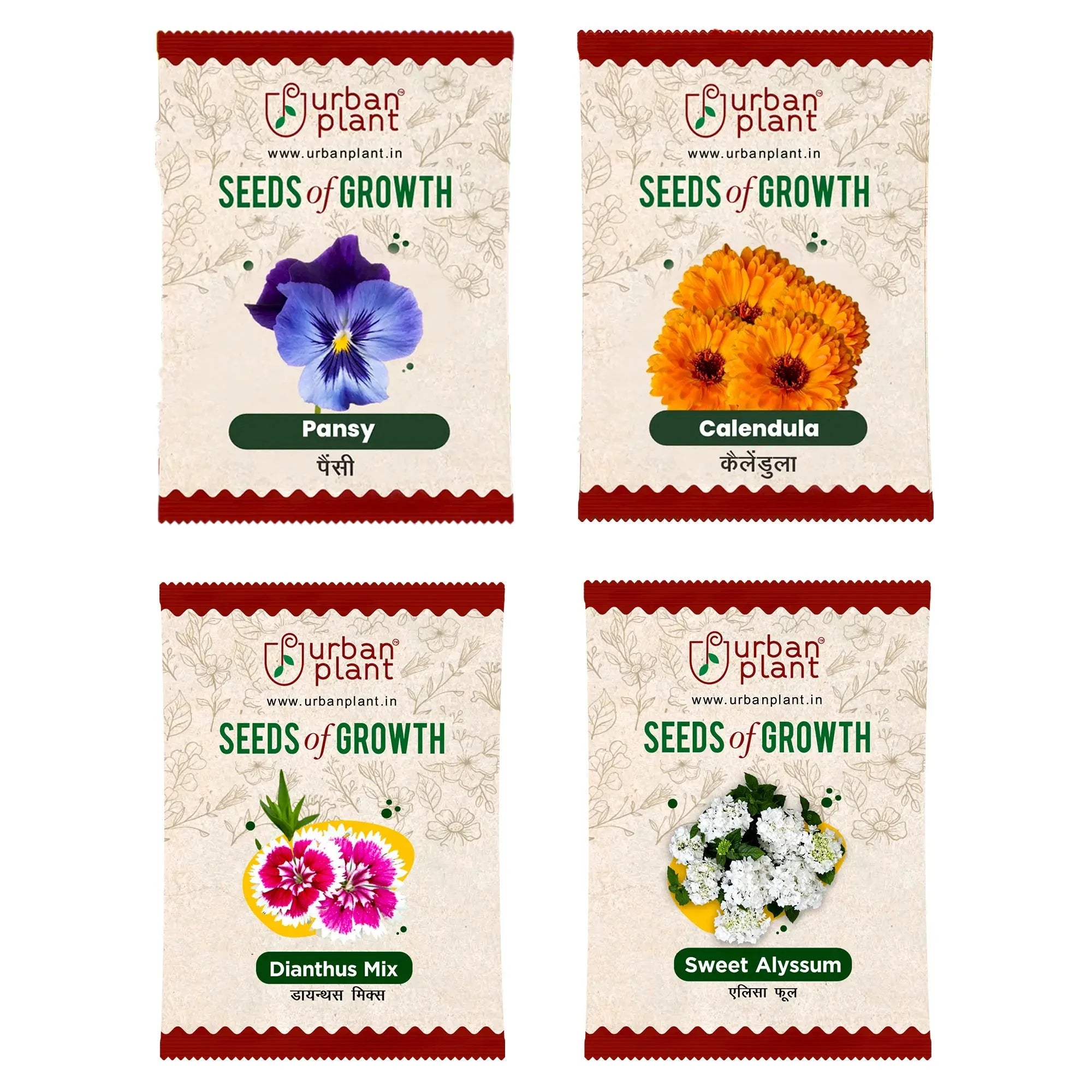 combo flower seeds Pansy Calendula Dianthus Sweet Alyssum Flower Seeds Bundle of 4