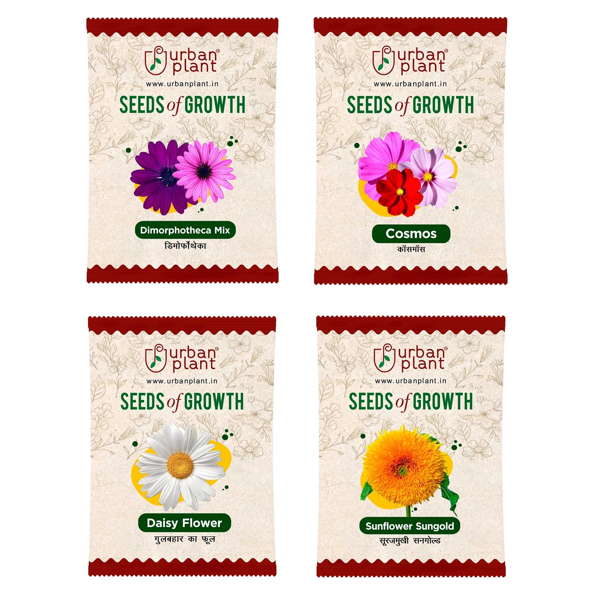 Flower Seeds Combo – (Dimorphotheca, Cosmos, Daisy, Sunflower Sungold) Flower Seed Urban Plant