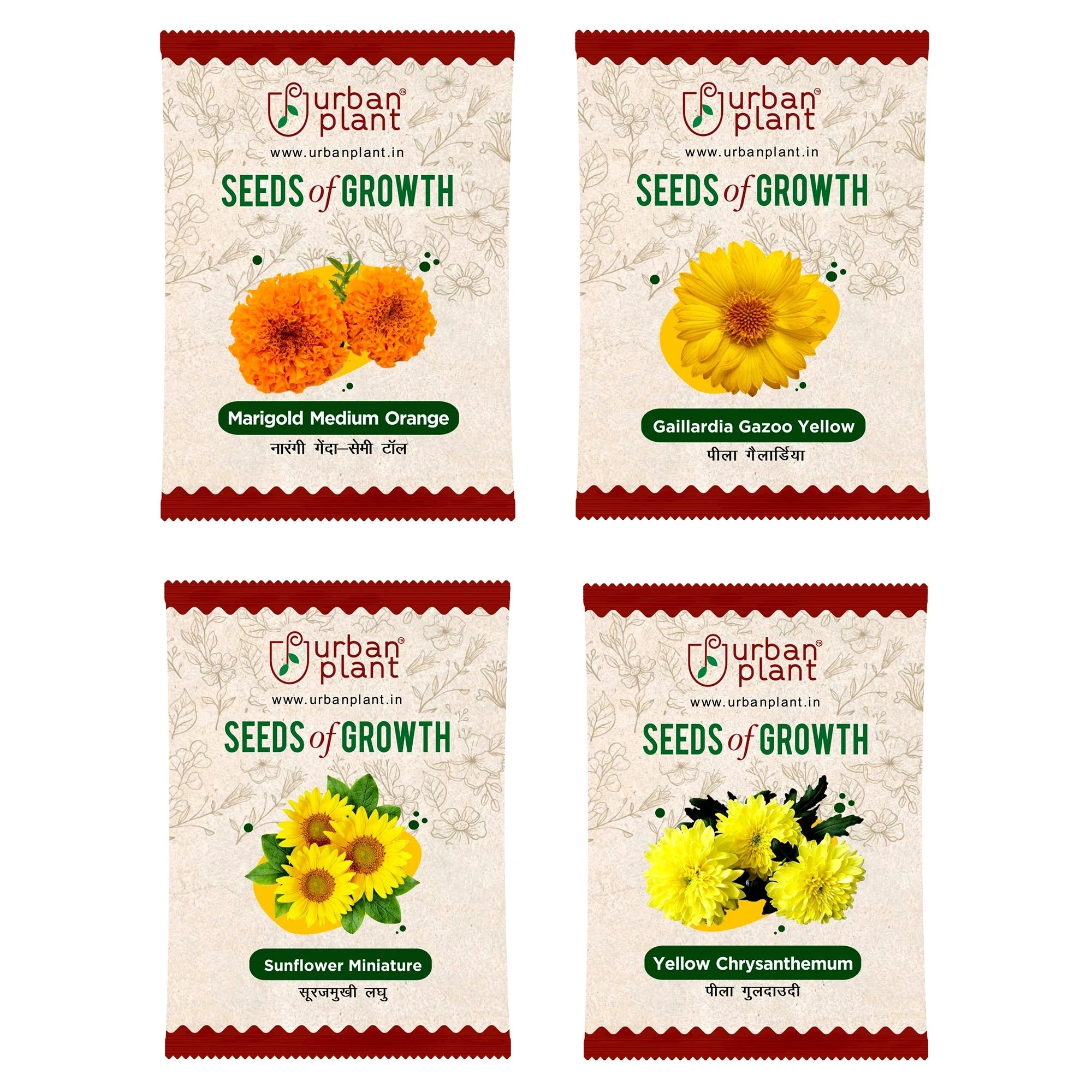 Flower Seeds Combo – (Marigold Orange, Gaillardia, Sunflower, Chrysanthemum) Flower Seed Urban Plant