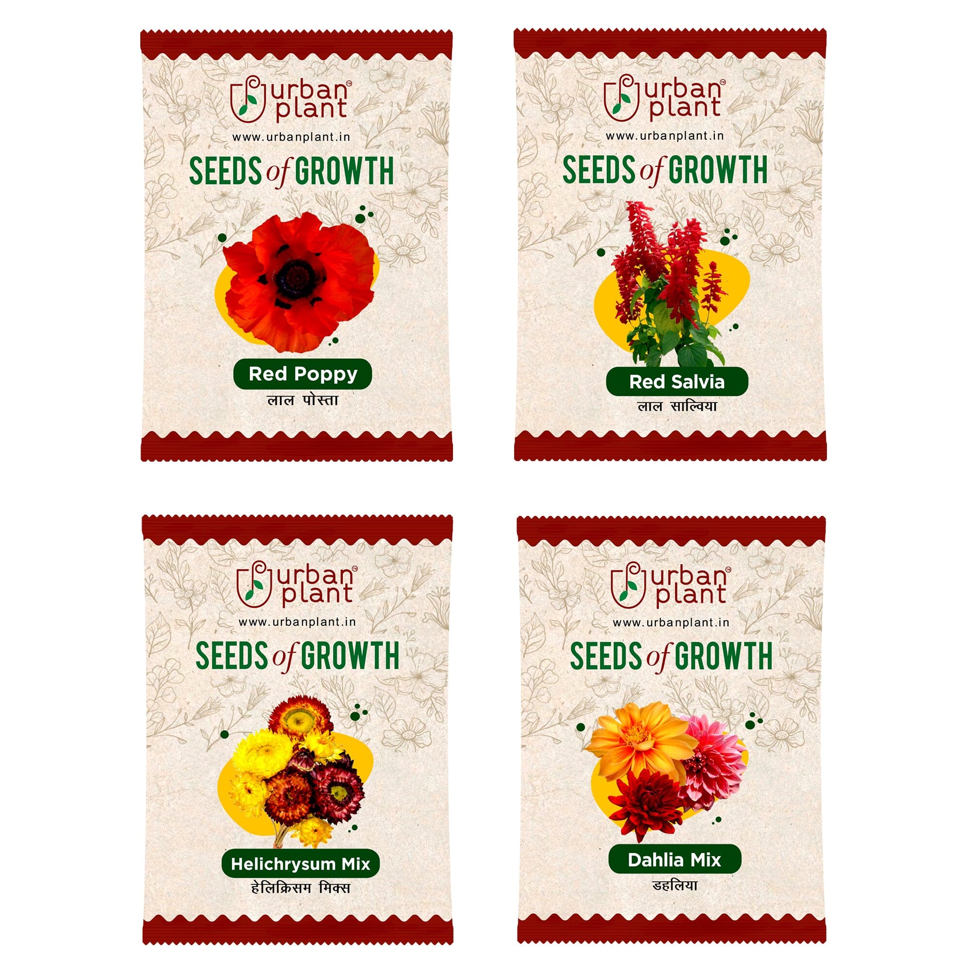Flower Seeds Combo – (Red Poppy, Red Salvia, Helichrysum, Dahlia) Flower Seed Urban Plant