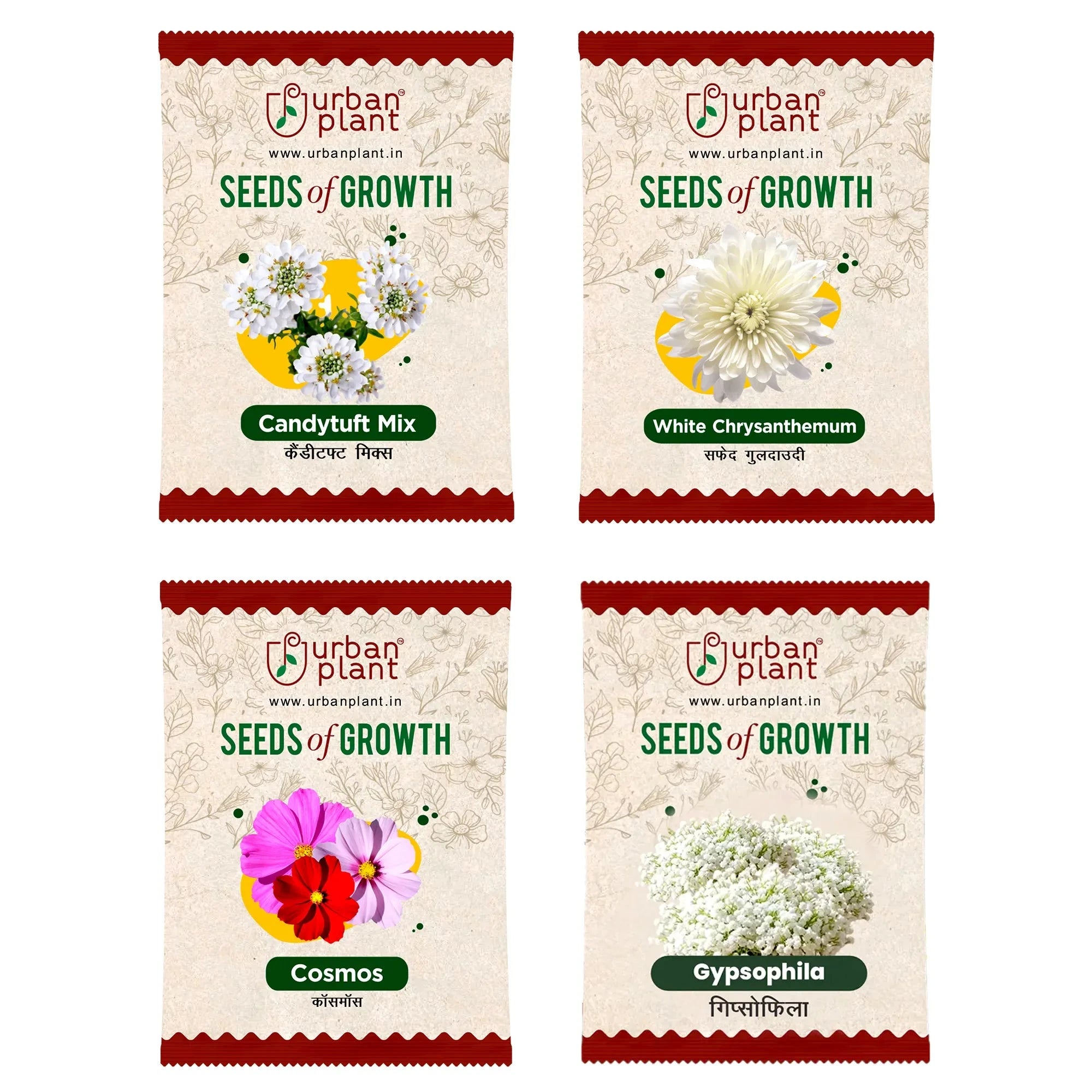 Flower Seeds Combo – (Candytuft, Chrysanthemum, Cosmos, Gypsophila) Flower Seed Urban Plant