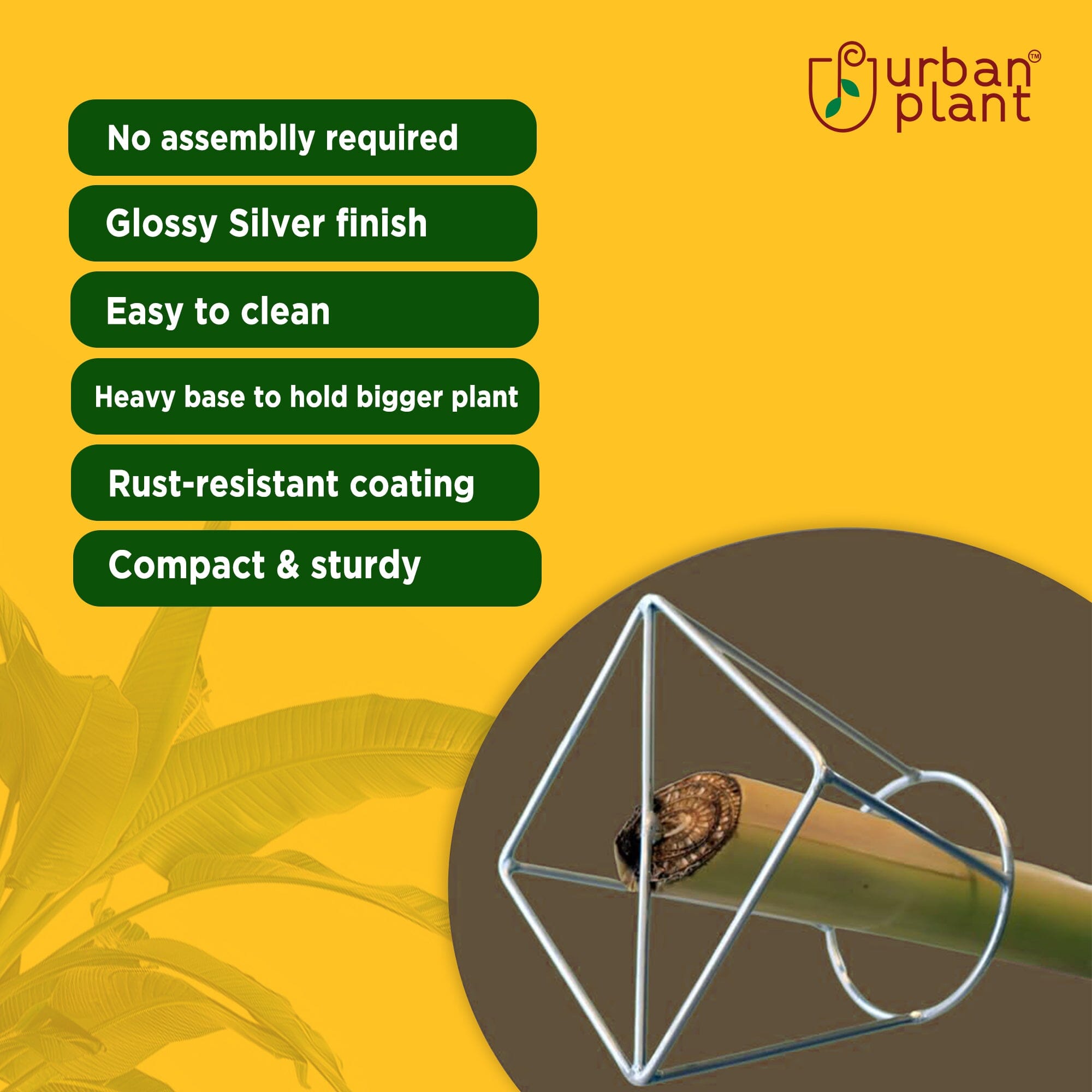 Urban Plant Banana Stand/Holder for Pooja Pack of 2 Urban Plant