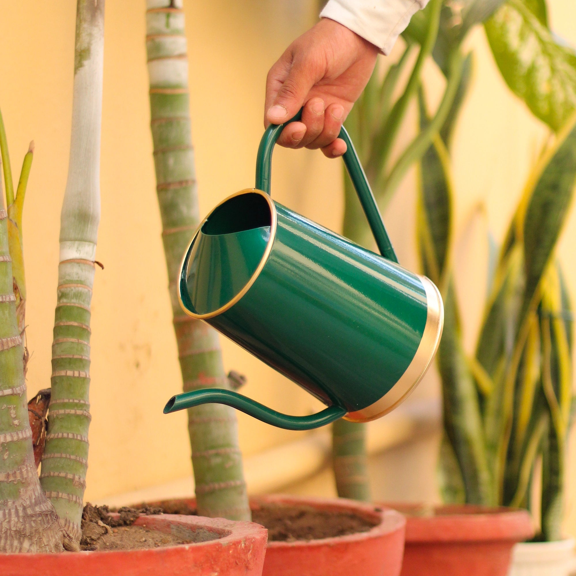 Urban Plant Metal Watering Can for Indoor & Outdoor Use | Best for Home Gardening | Terrace Garden Accessories | Watering Can with Long Spout - 1.5ltr Gardening Accessories Urban Plant Green 