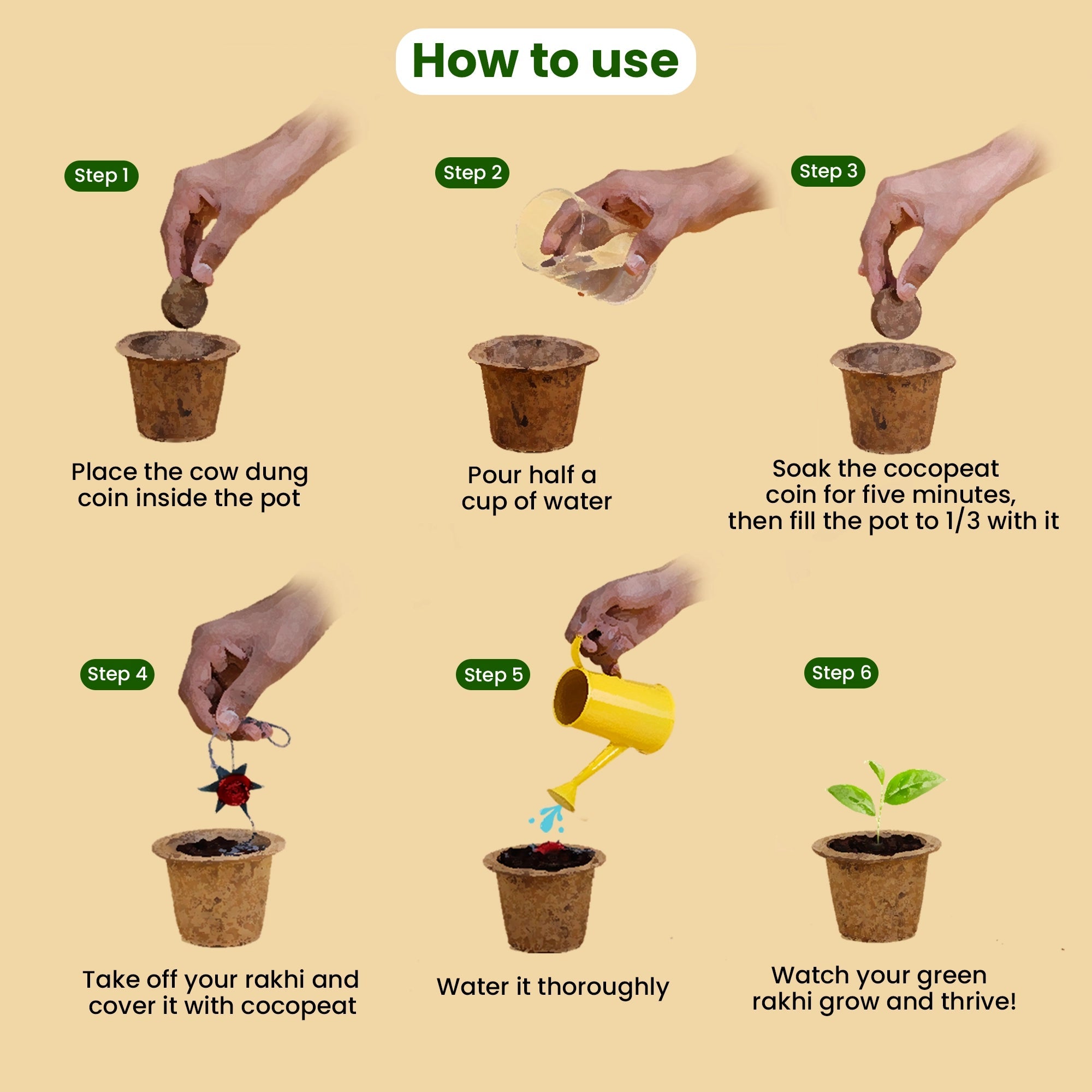 Urban Plant Plantable Rakhi Kit Includes Rose rakhi (Seed Embedded), Coir Pot, Cocopeat Coin, Cow Dung Coin, Coir Lid, Greeting Card, Roli & Chawal Packet Urban Plant